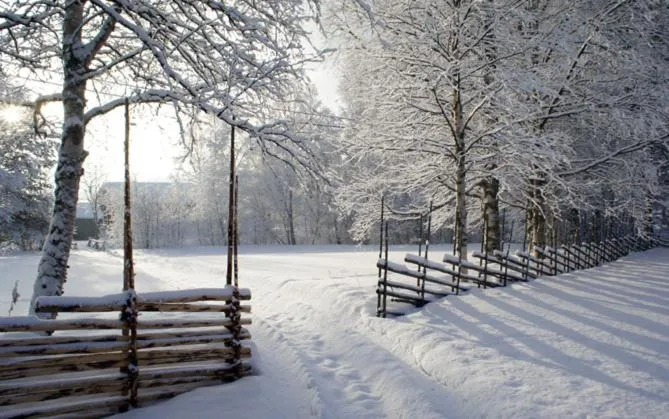 Garden in Mannflogården Bed & Breakfast , Sälenfjällen