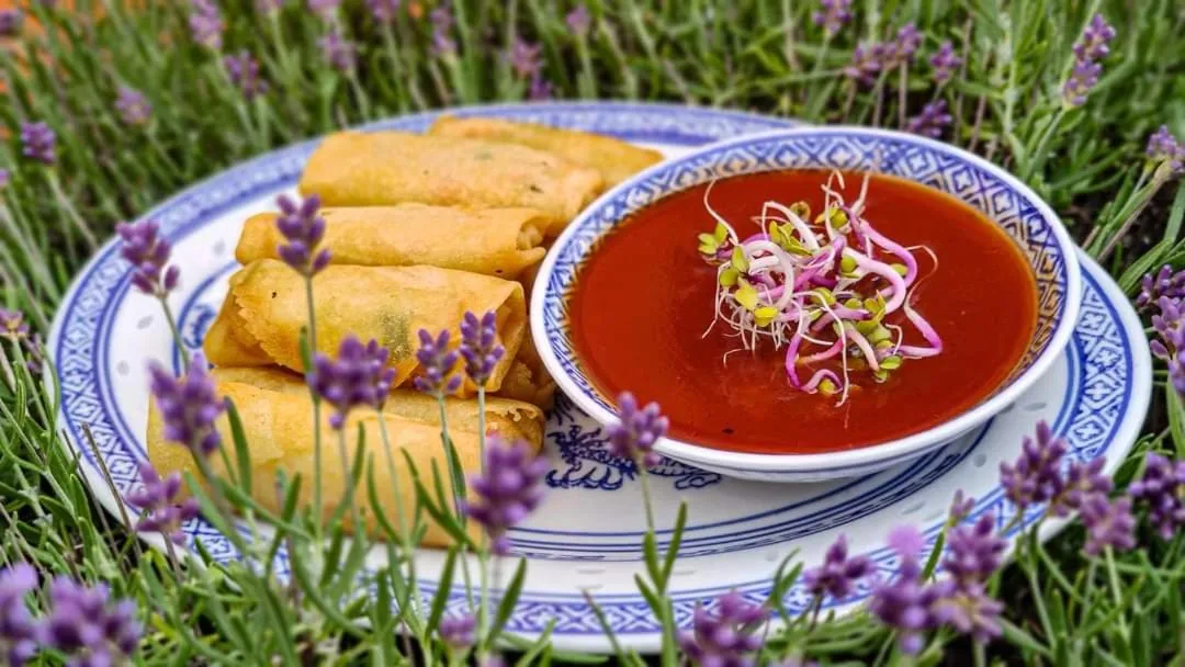 Hotel Orange Przeźmierowo