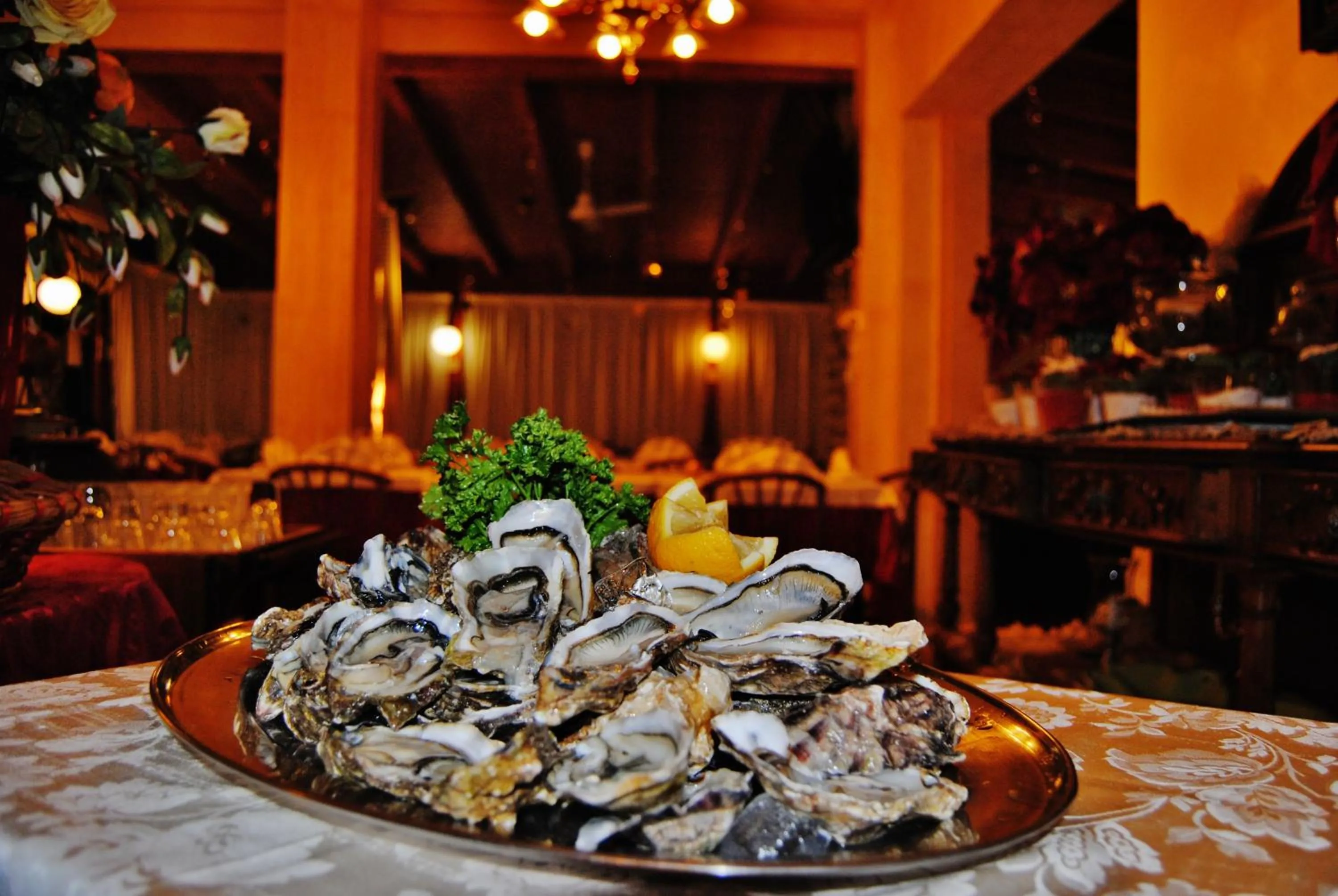 Restaurant/places to eat in Hotel Italia