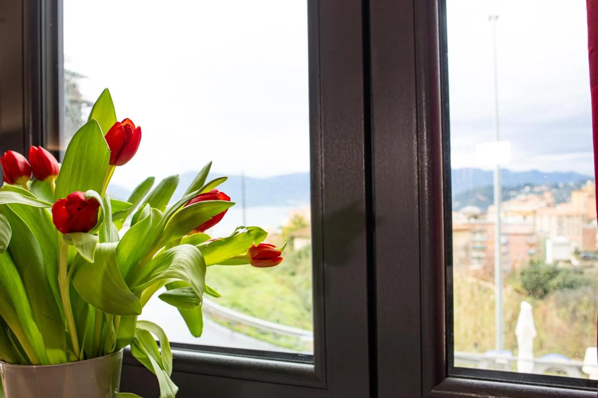 Natural landscape in Hotel Italia