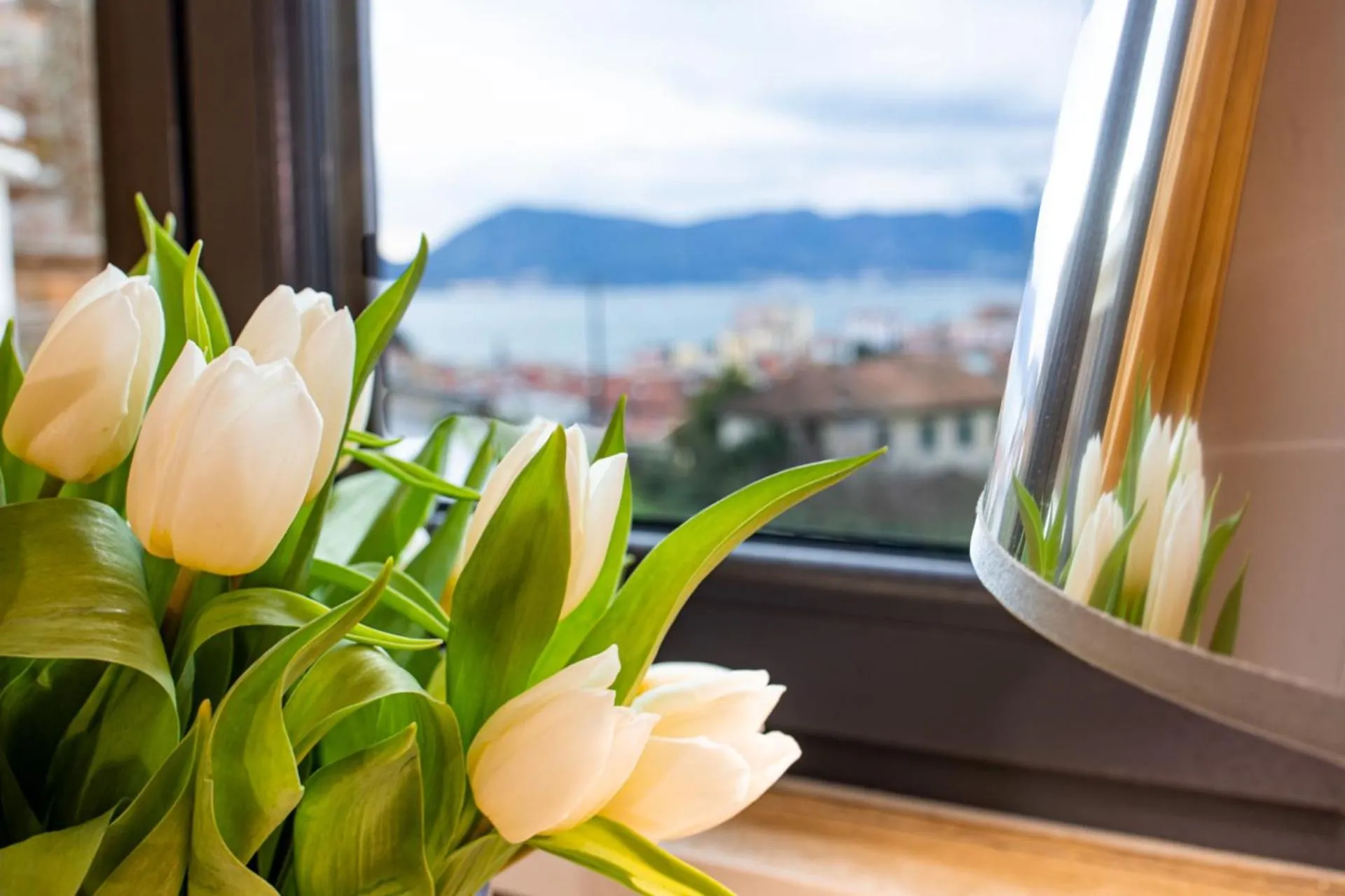 Natural landscape in Hotel Italia