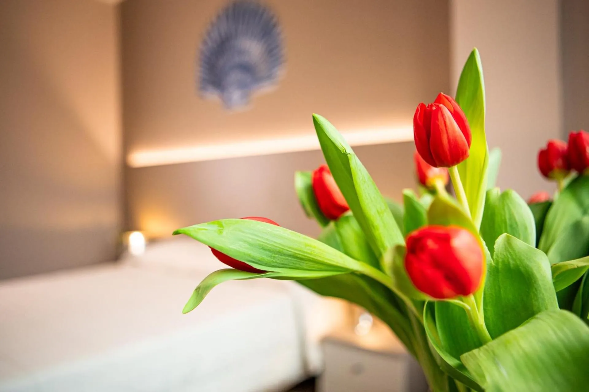 Bedroom, Bed in Hotel Italia