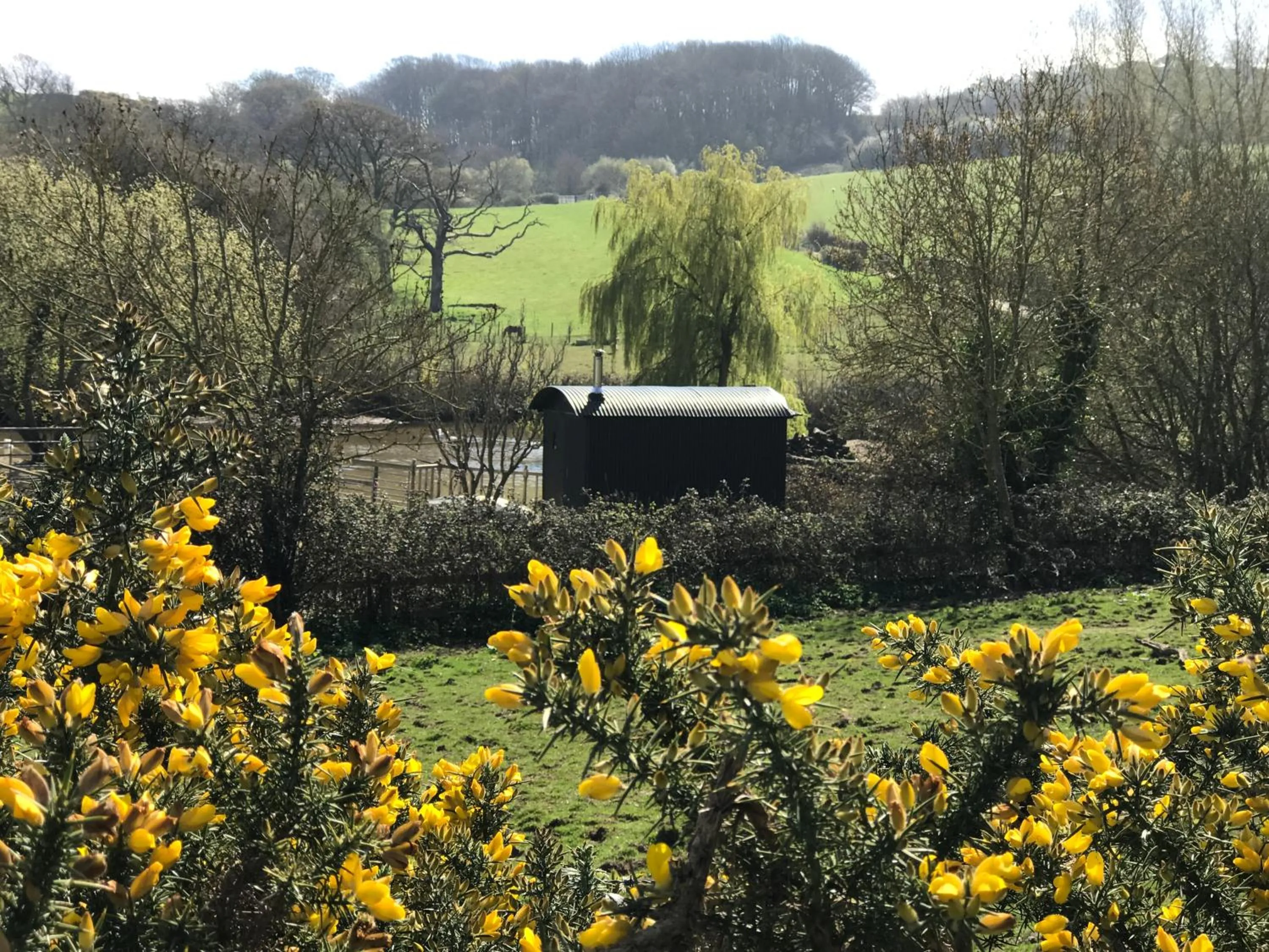 Neighbourhood in Godshill Park Barn