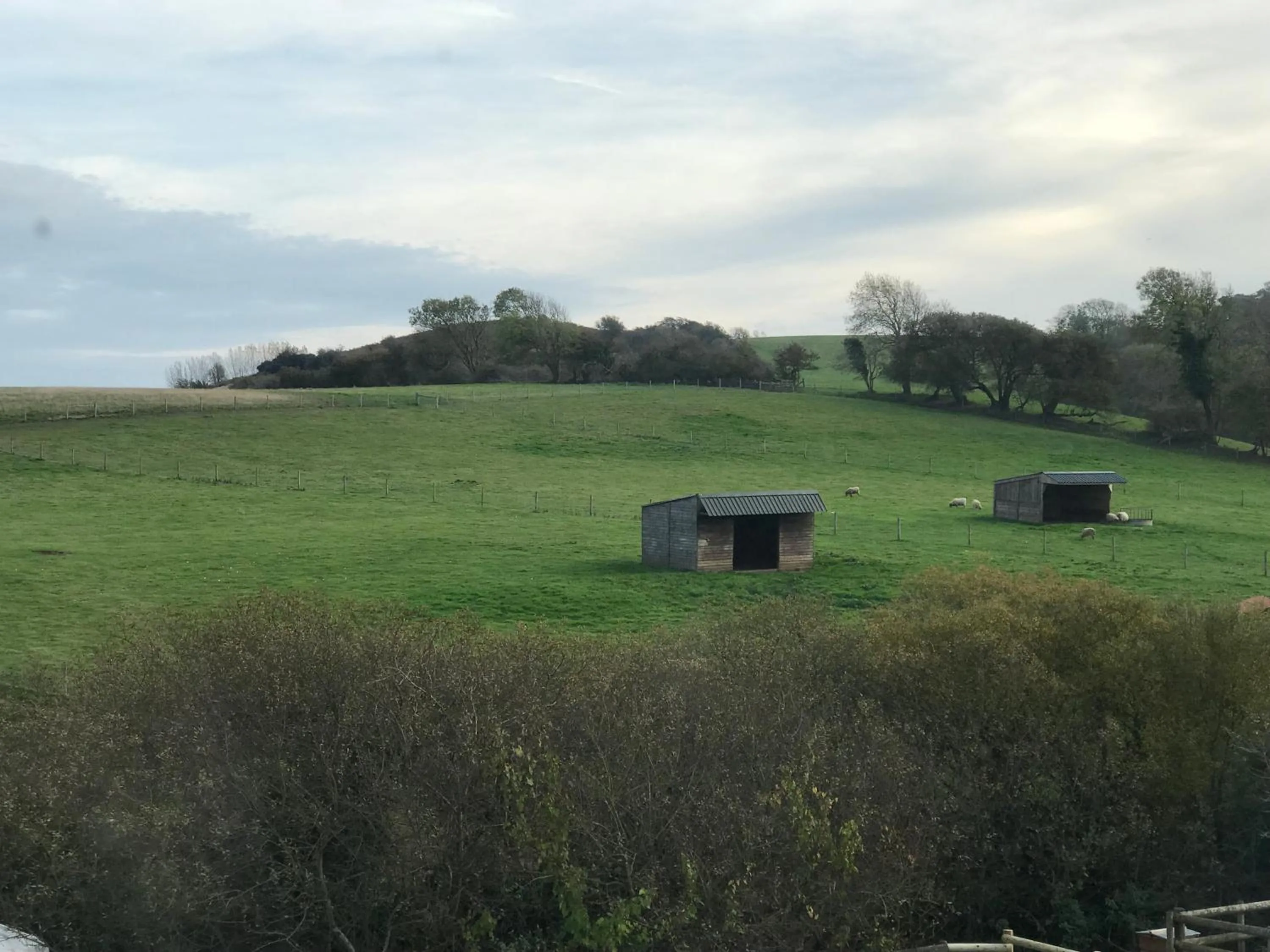 View (from property/room) in Godshill Park Barn