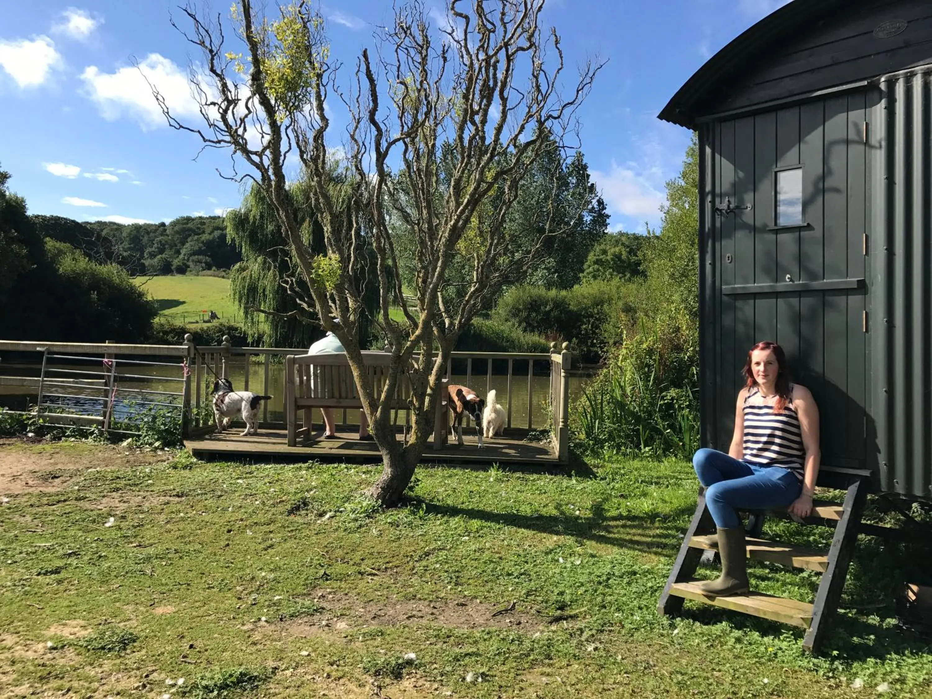 Natural landscape in Godshill Park Barn