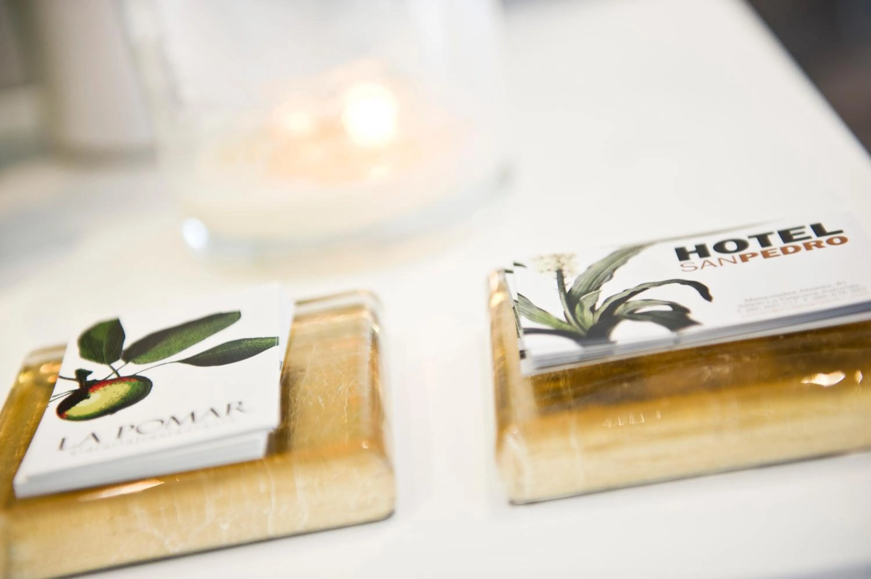 Lobby or reception in Hotel San Pedro