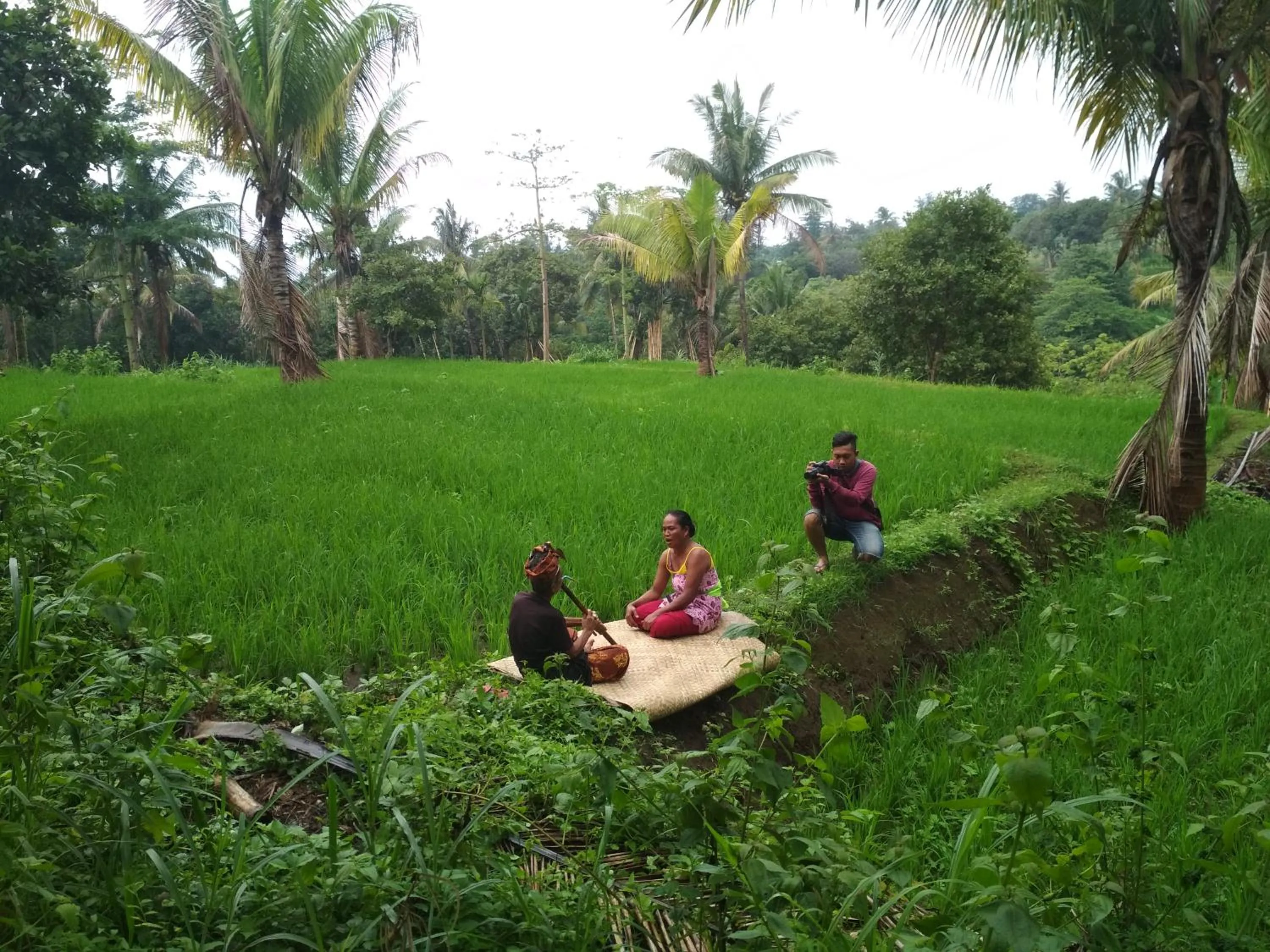 Garden in Budaya Kaki Rinjani