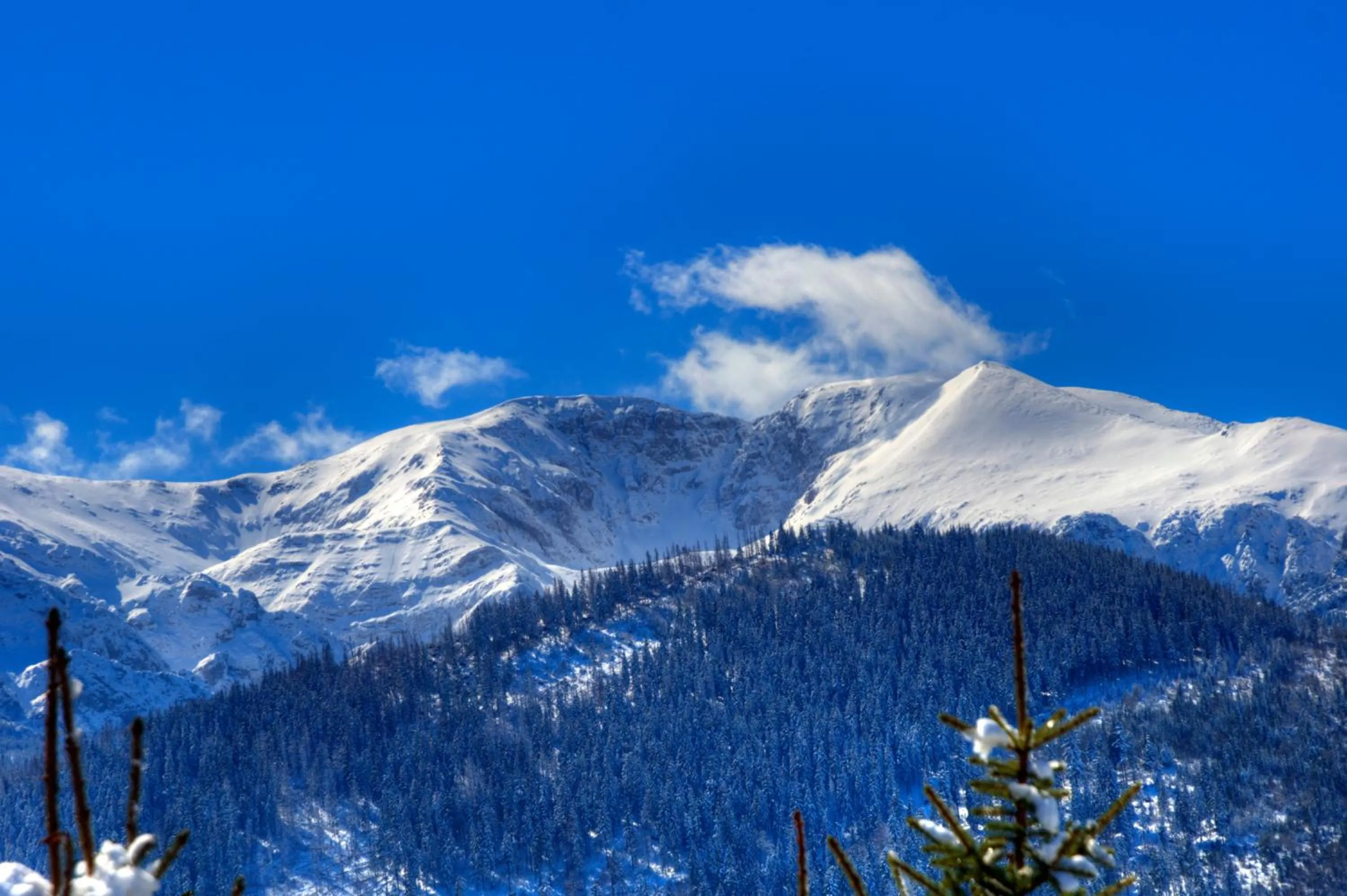 Natural landscape in Willa u podnóża Tatr Cztery Pory Roku