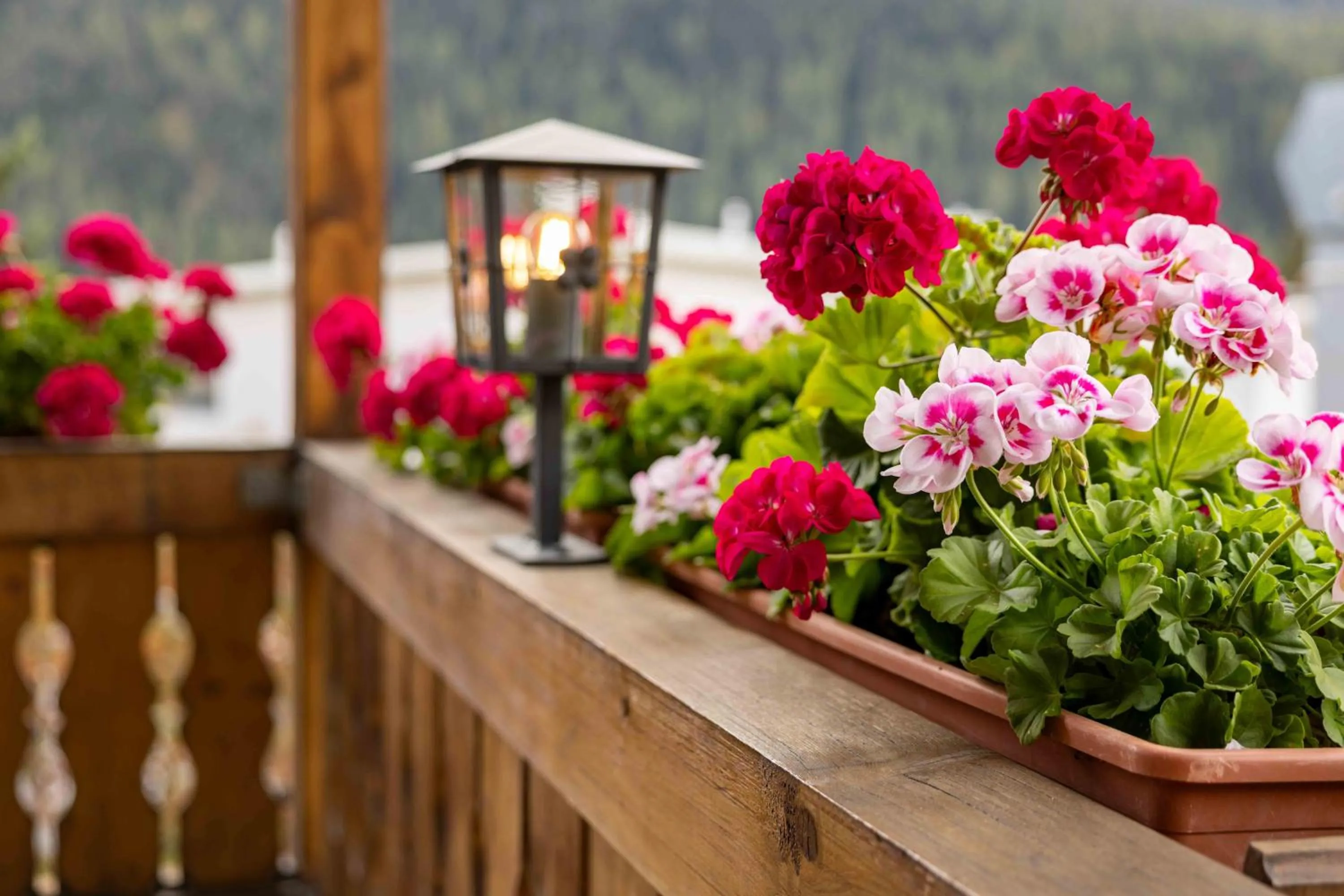 Garni Alpenrose - Grusaida