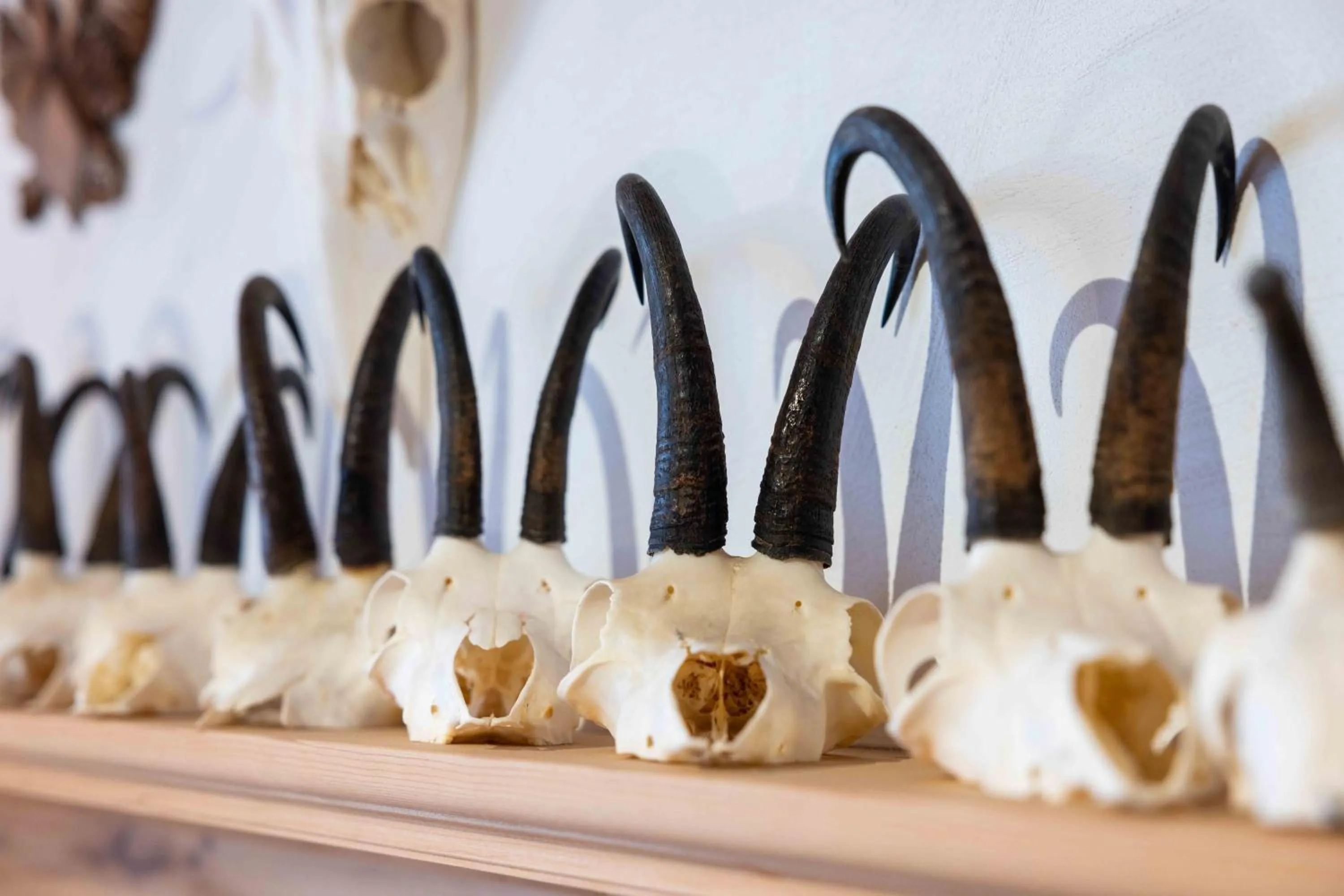 Garni Alpenrose - Grusaida