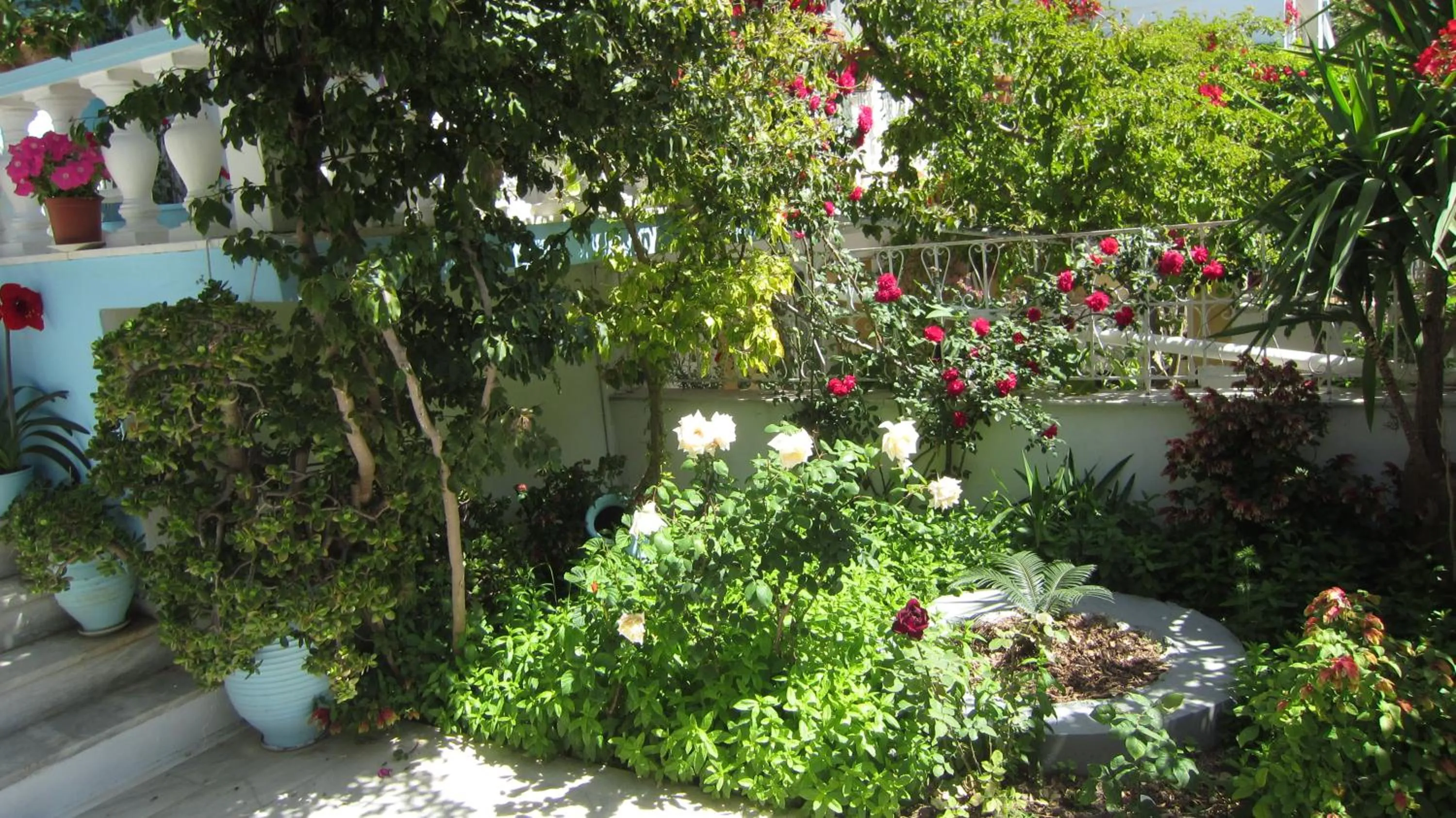 Spring in Sandalis Hotel