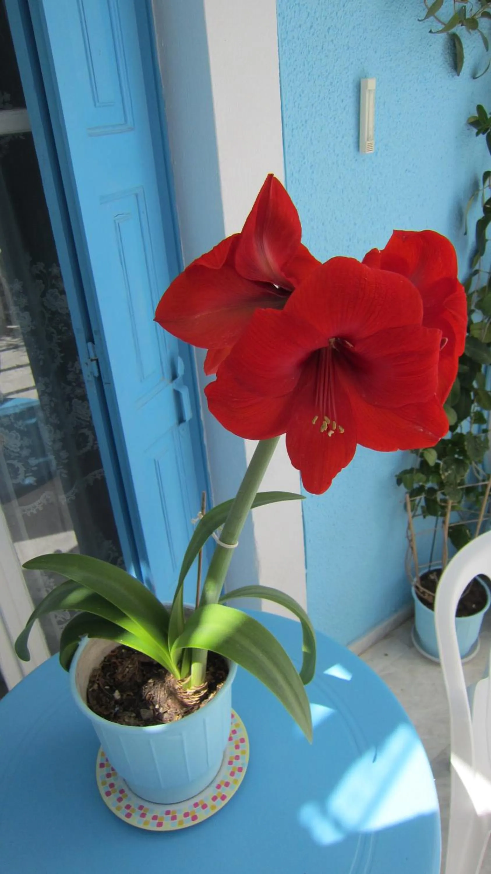 Other in Sandalis Hotel