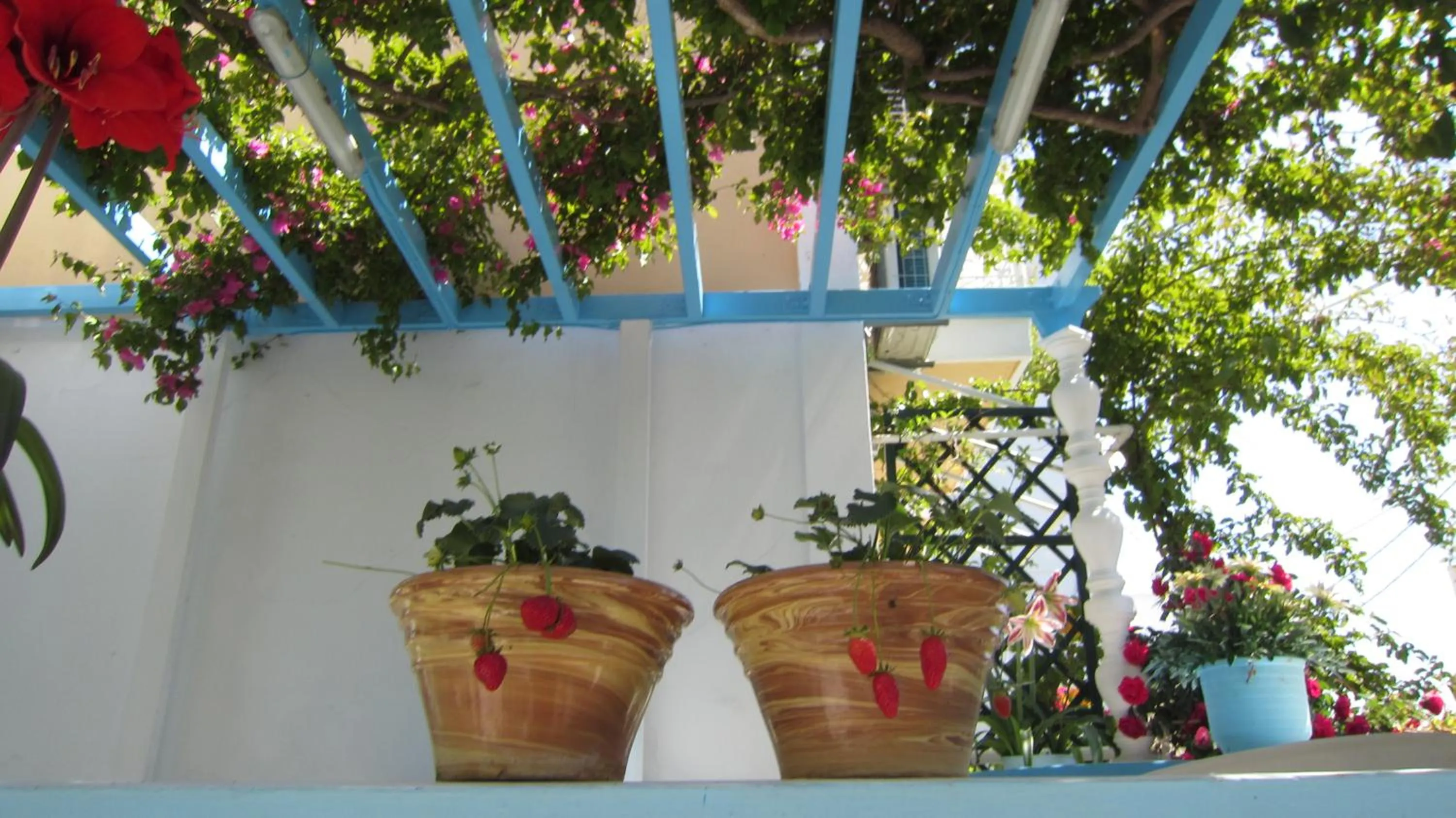 Patio in Sandalis Hotel