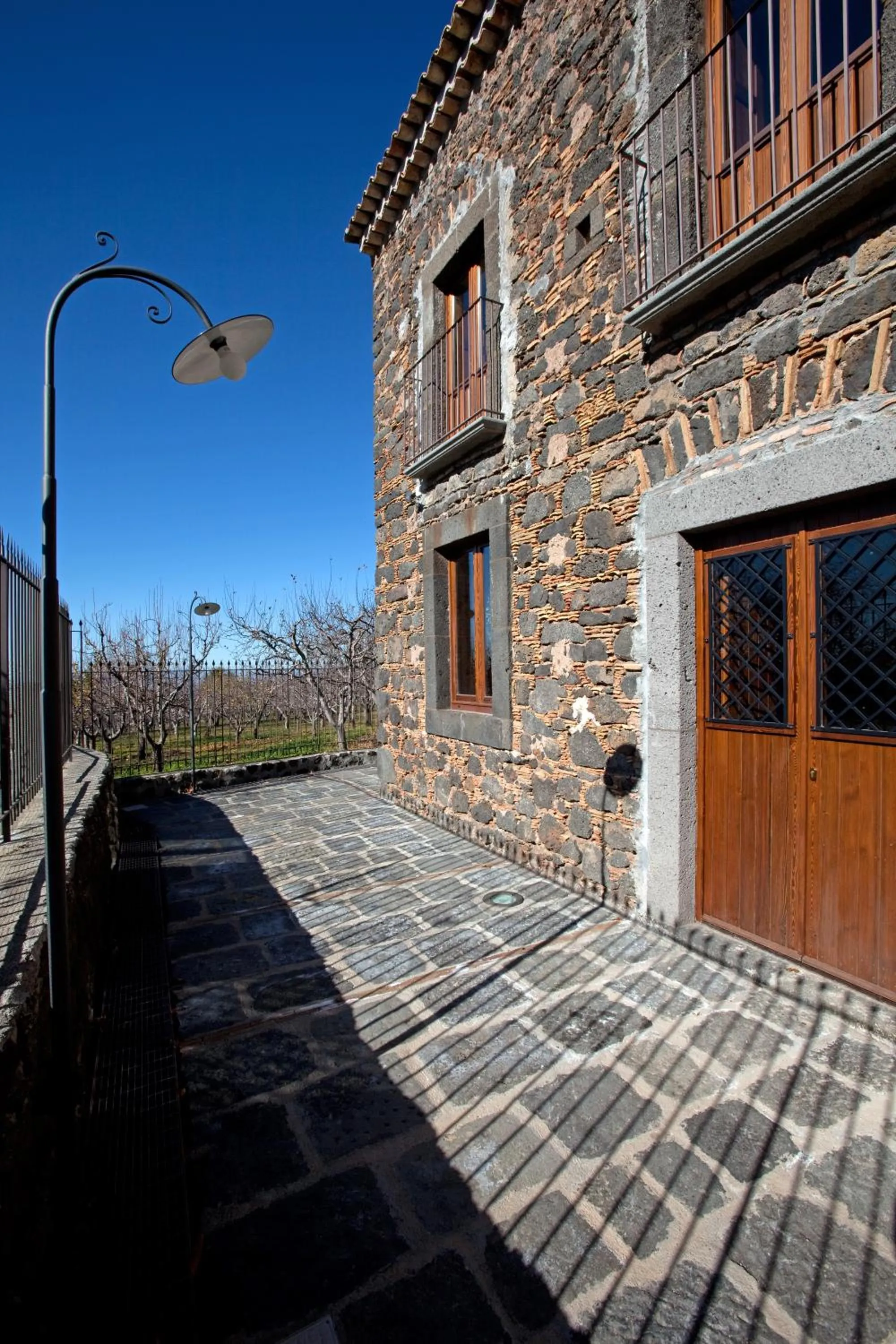 Bosco Ciancio