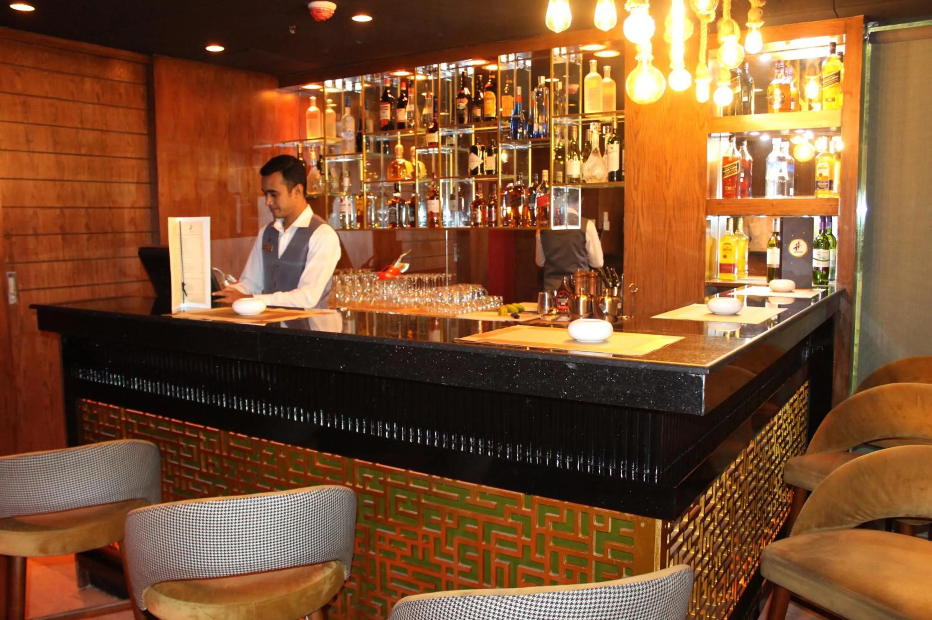 Lounge or bar in HANSA- A Premium Residence