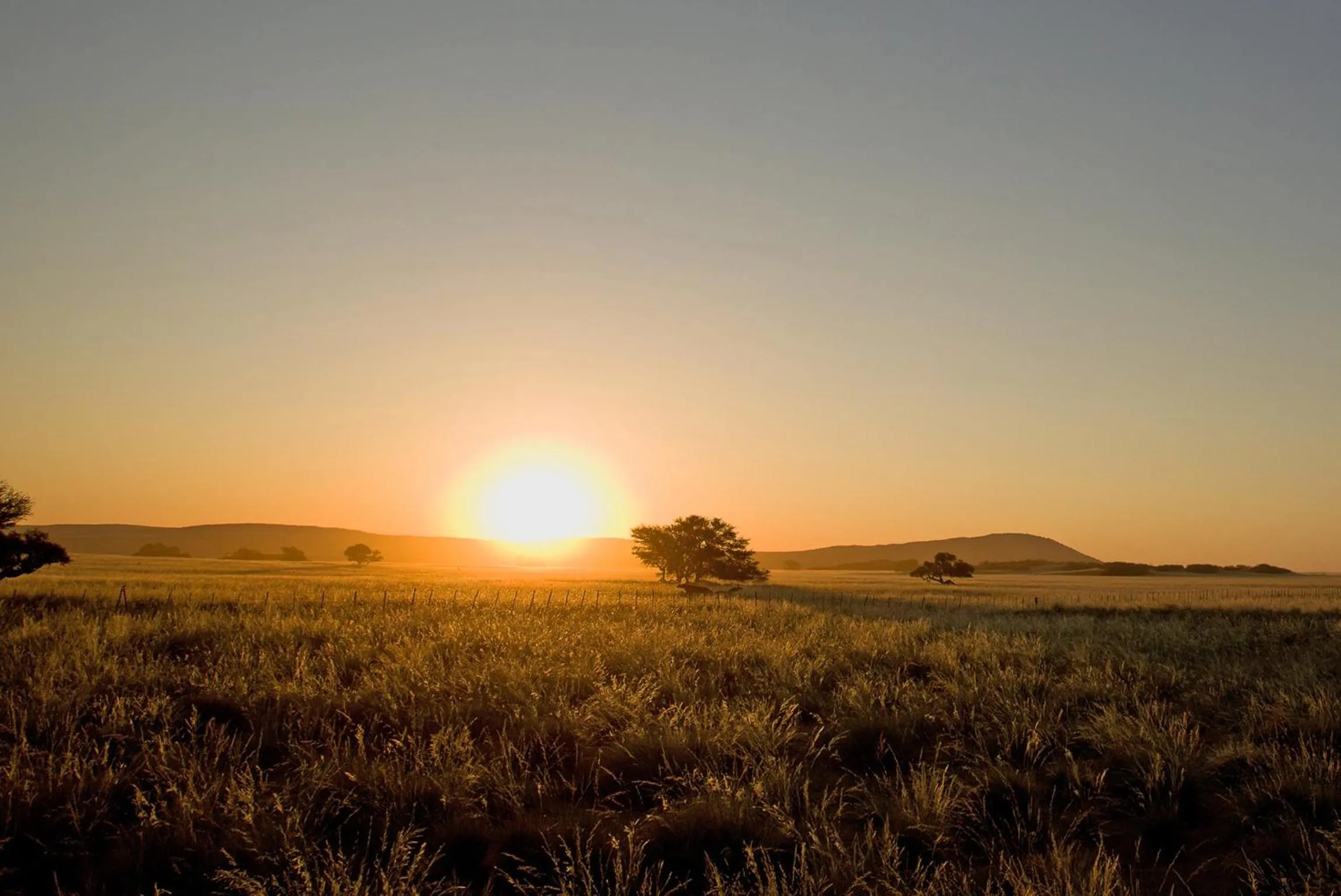 View (from property/room) in Sossusvlei Lodge