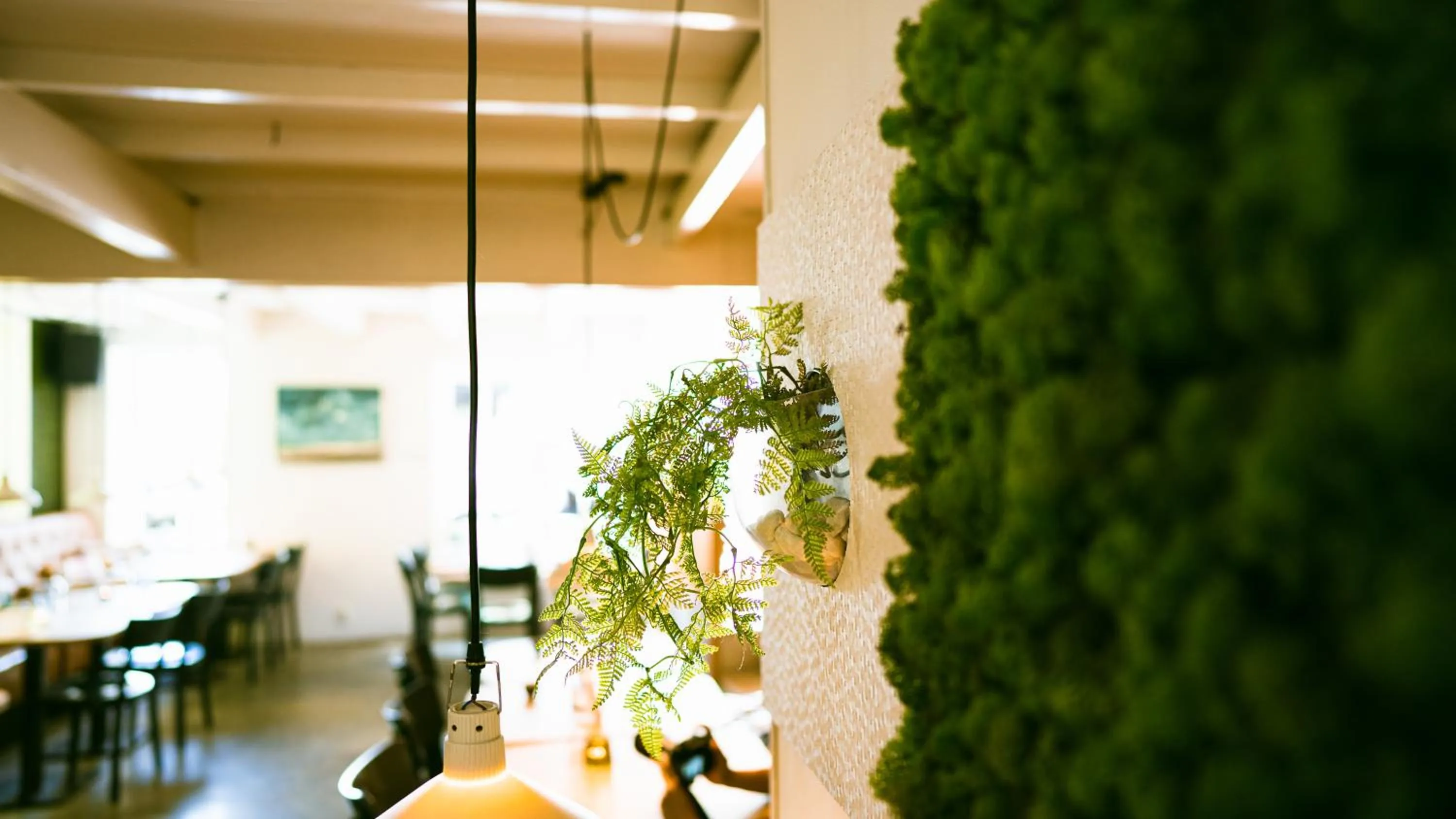 Restaurant/places to eat in Logement Overzee