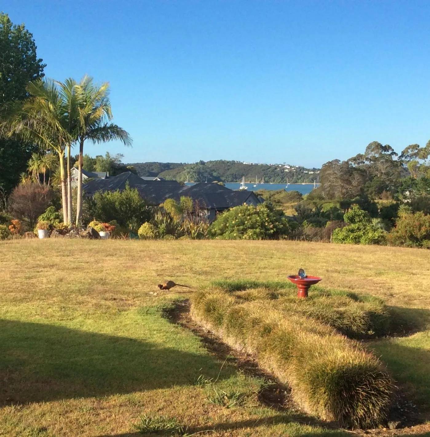 Natural landscape in Al Der Rocs B & B