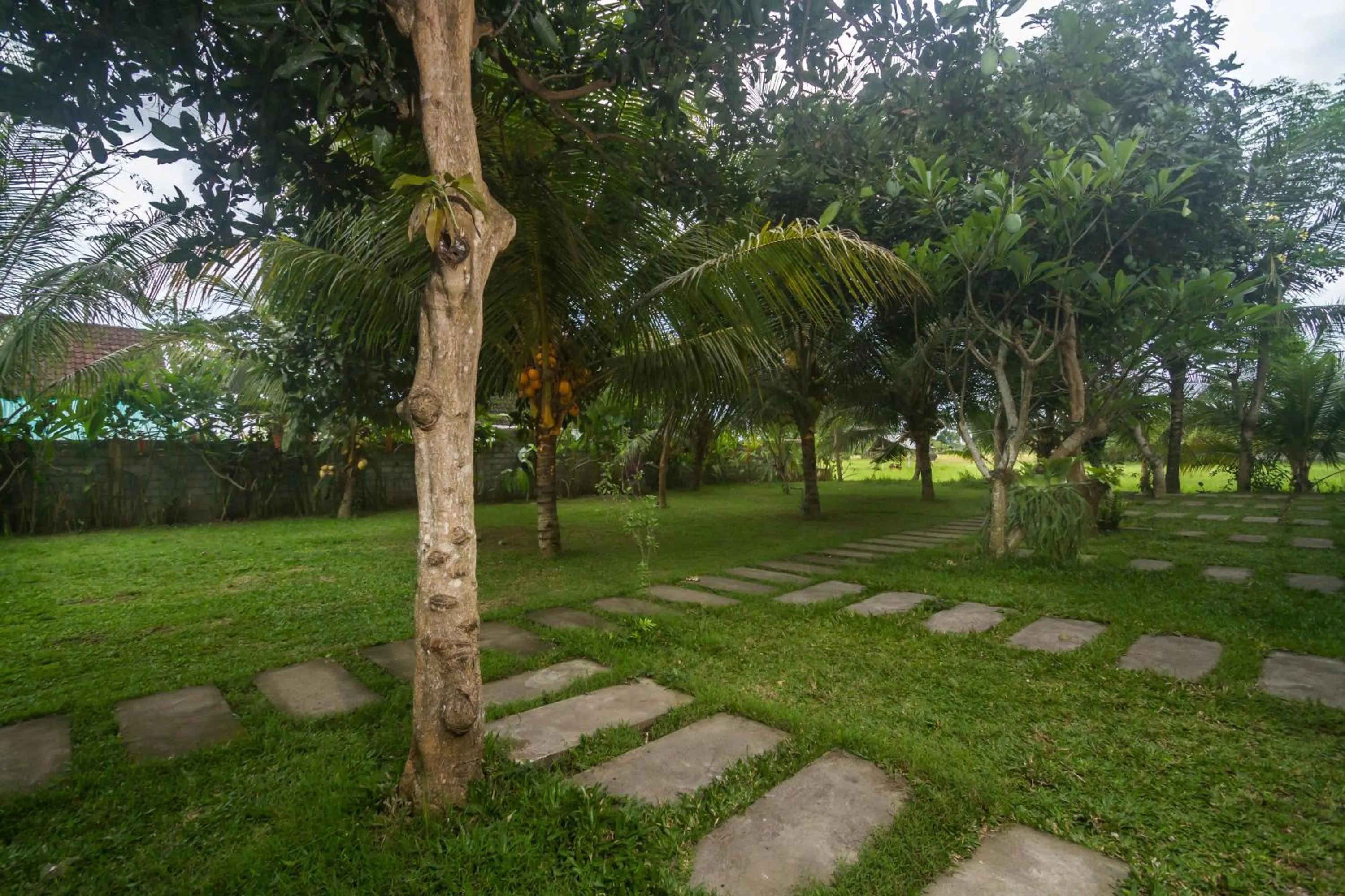 Garden in Parthi Puri Ubud