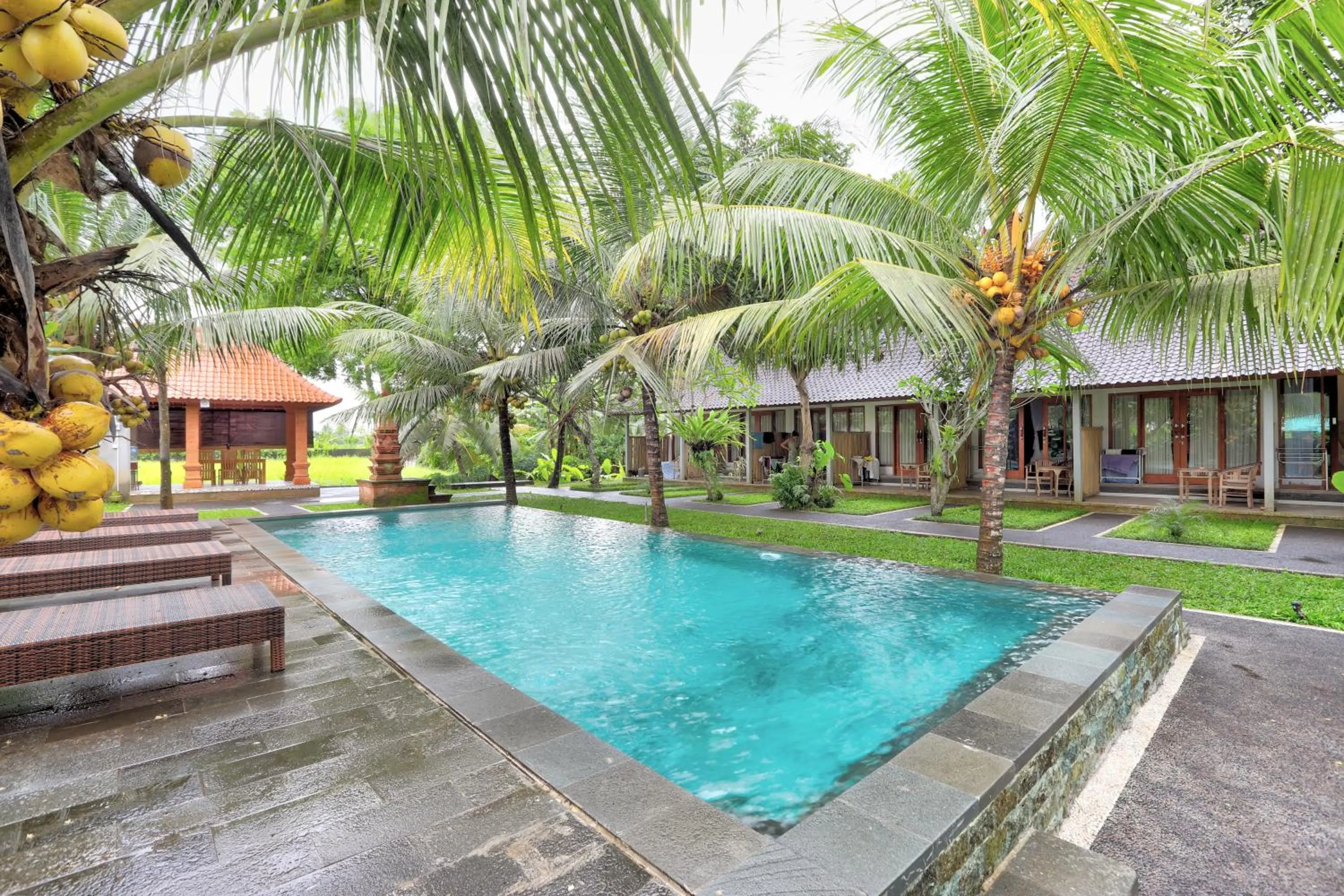 Swimming pool in Parthi Puri Ubud
