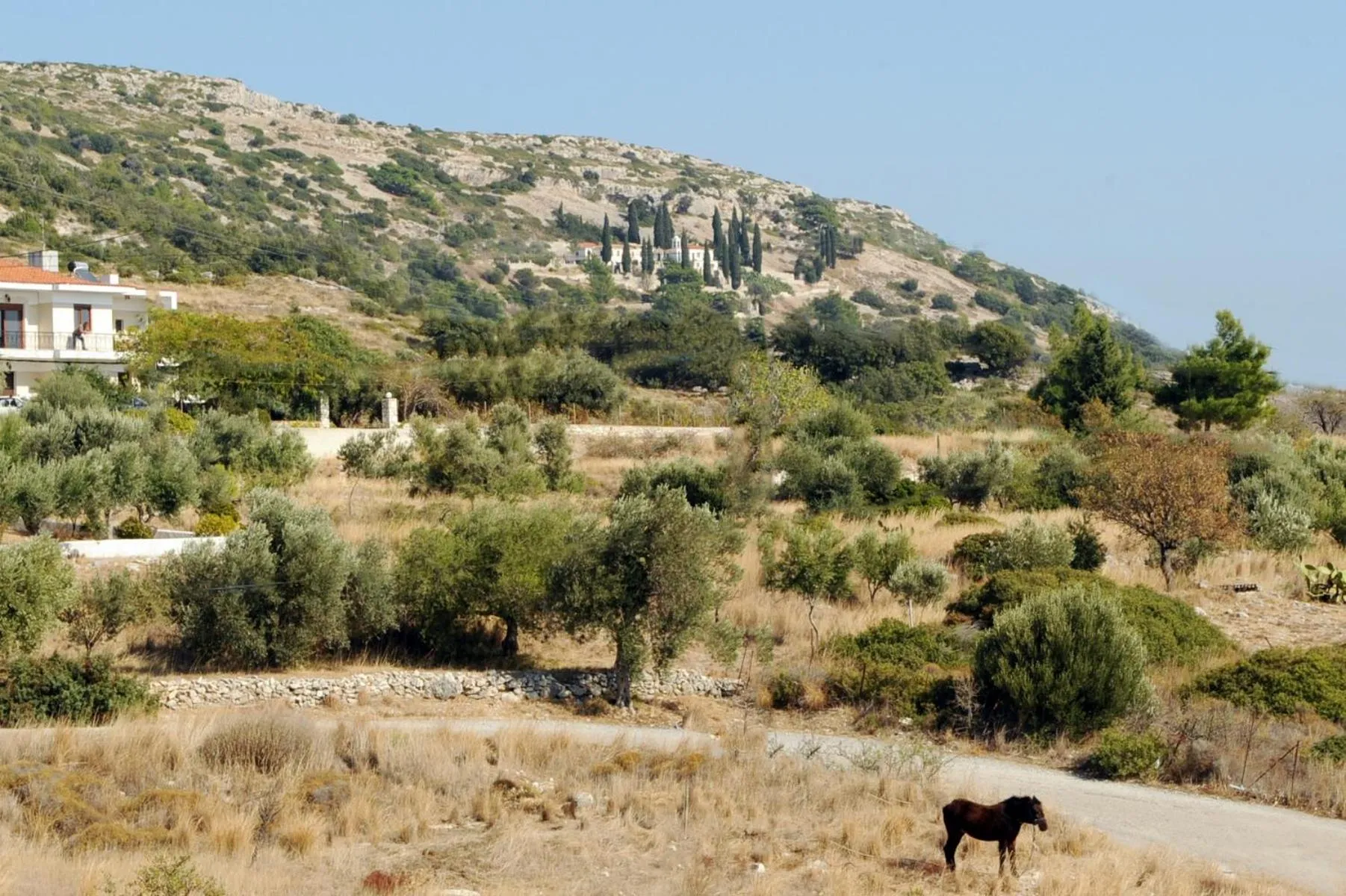 Mountain view in Apollon Resort