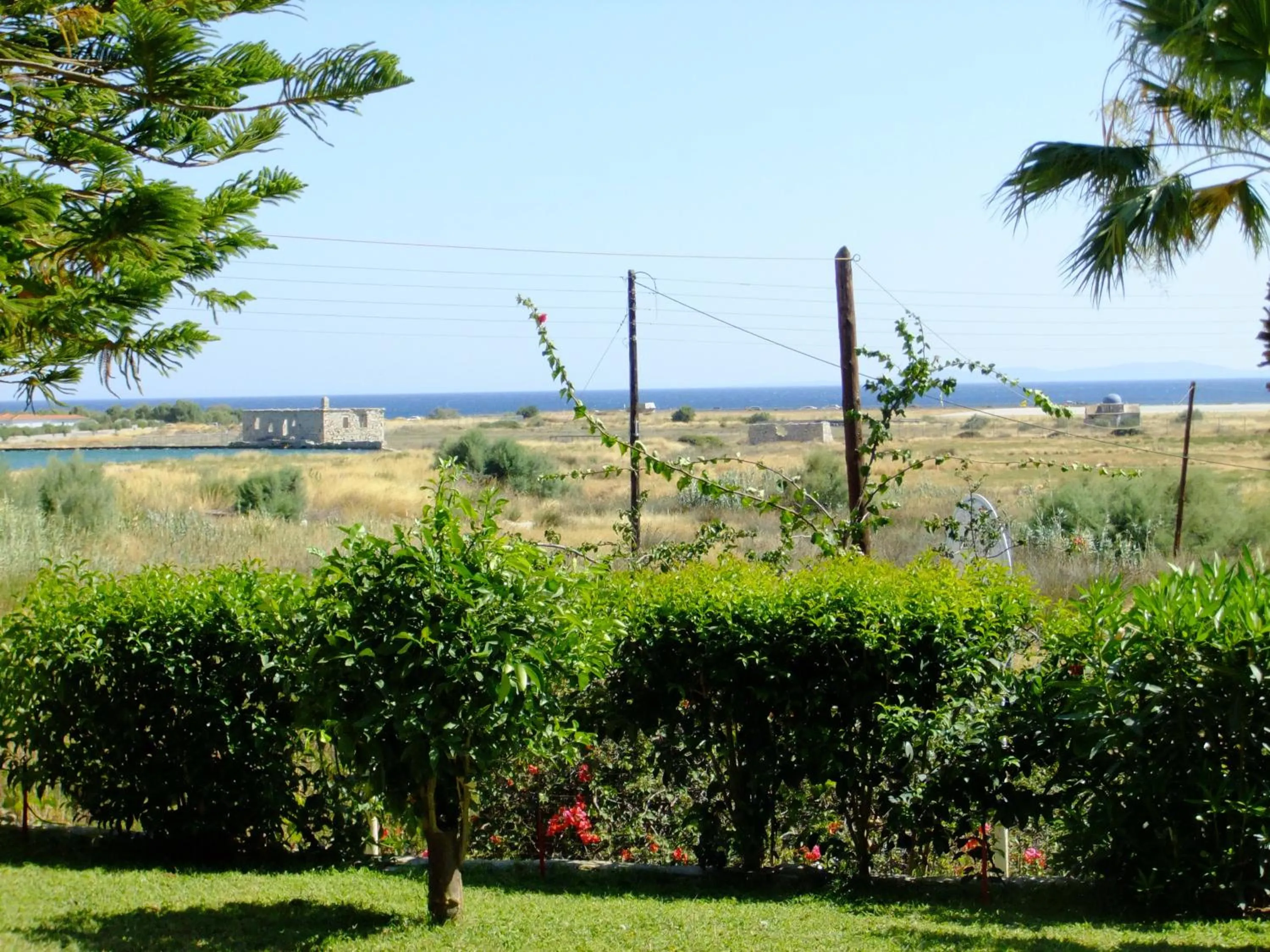 Garden in Apollon Resort