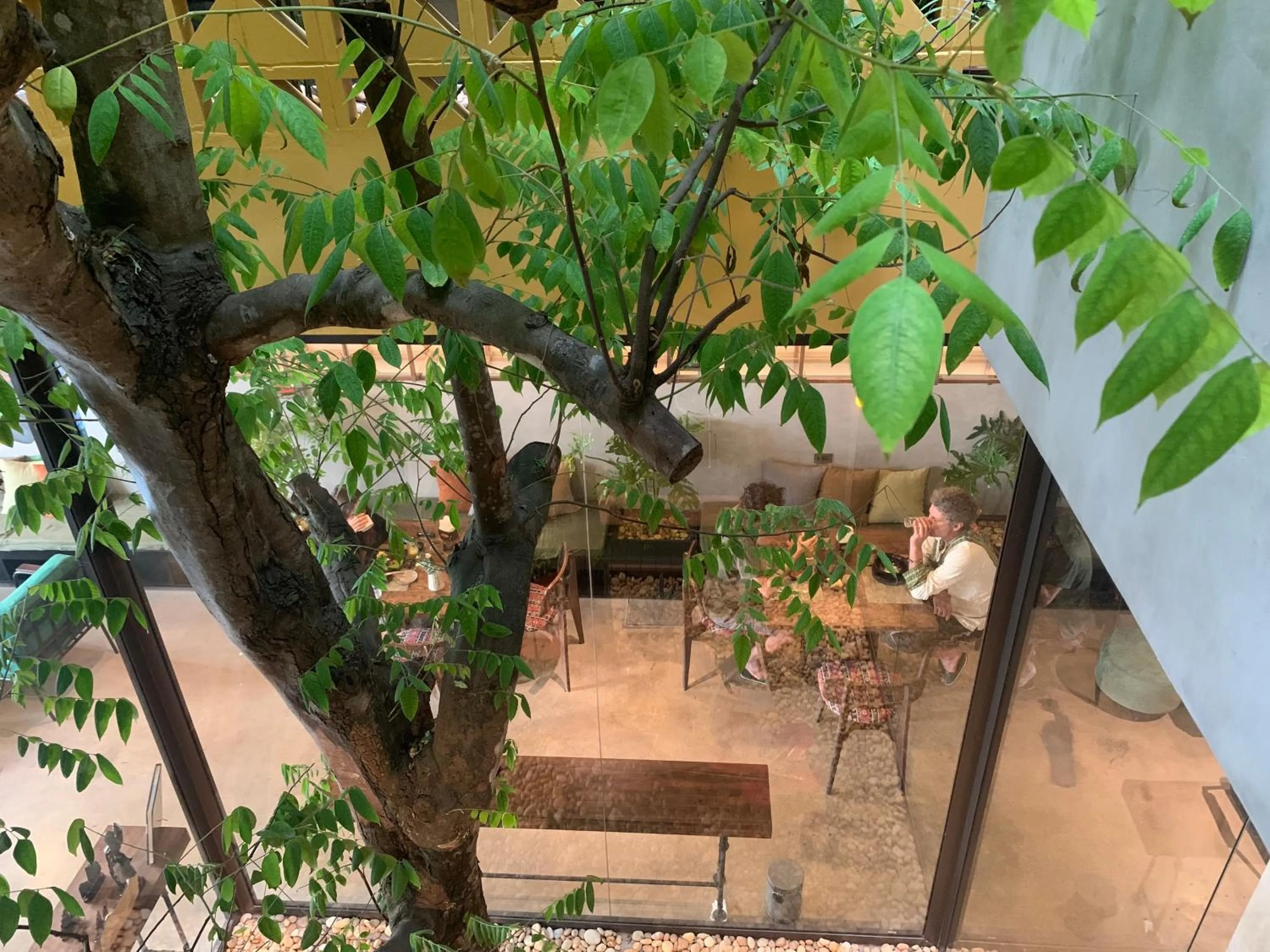 Restaurant/places to eat in Deja Vu House Ha Long