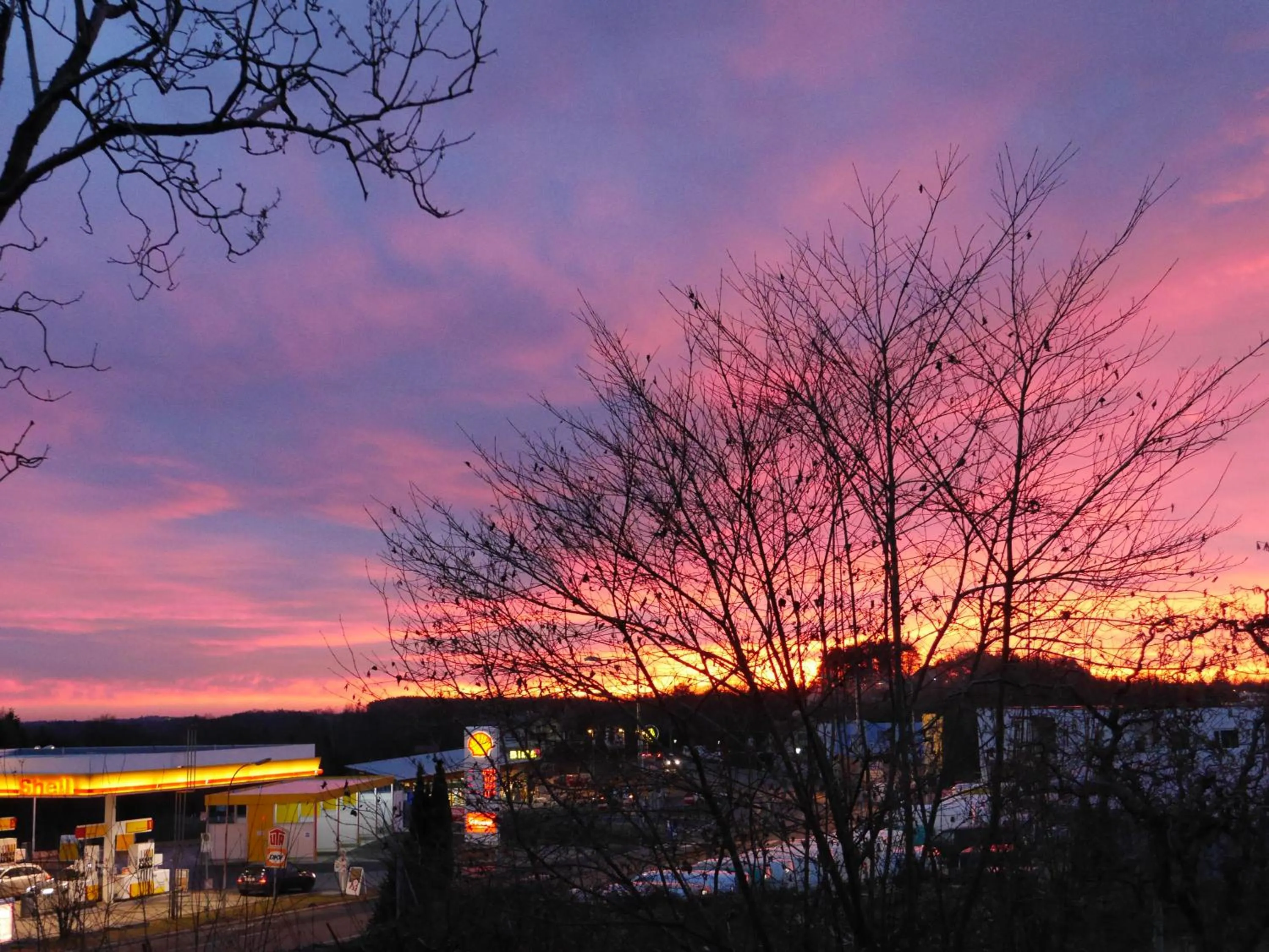 View (from property/room) in Hotel Garni Höchschmied