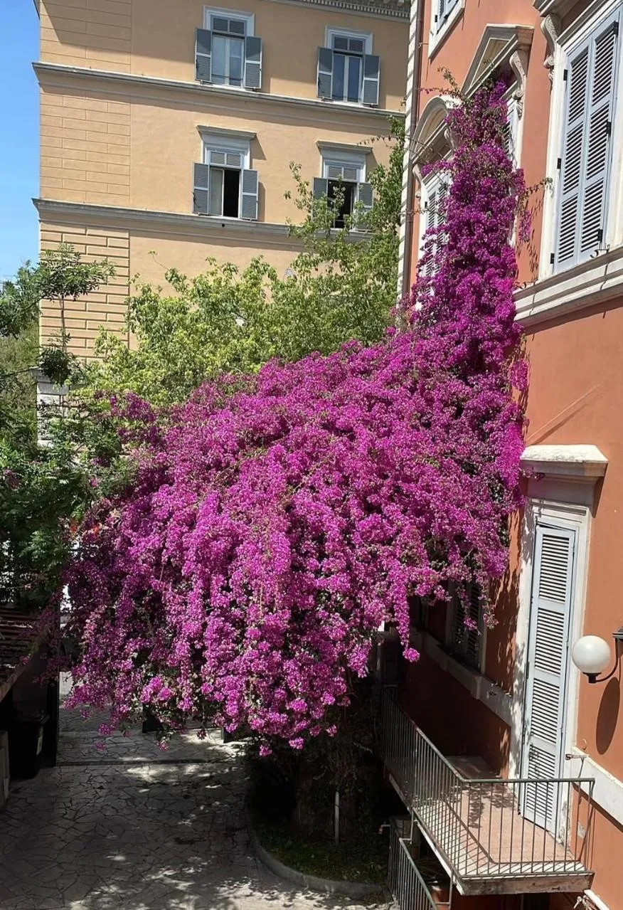 Garden view in Hotel Casa Valdese Roma