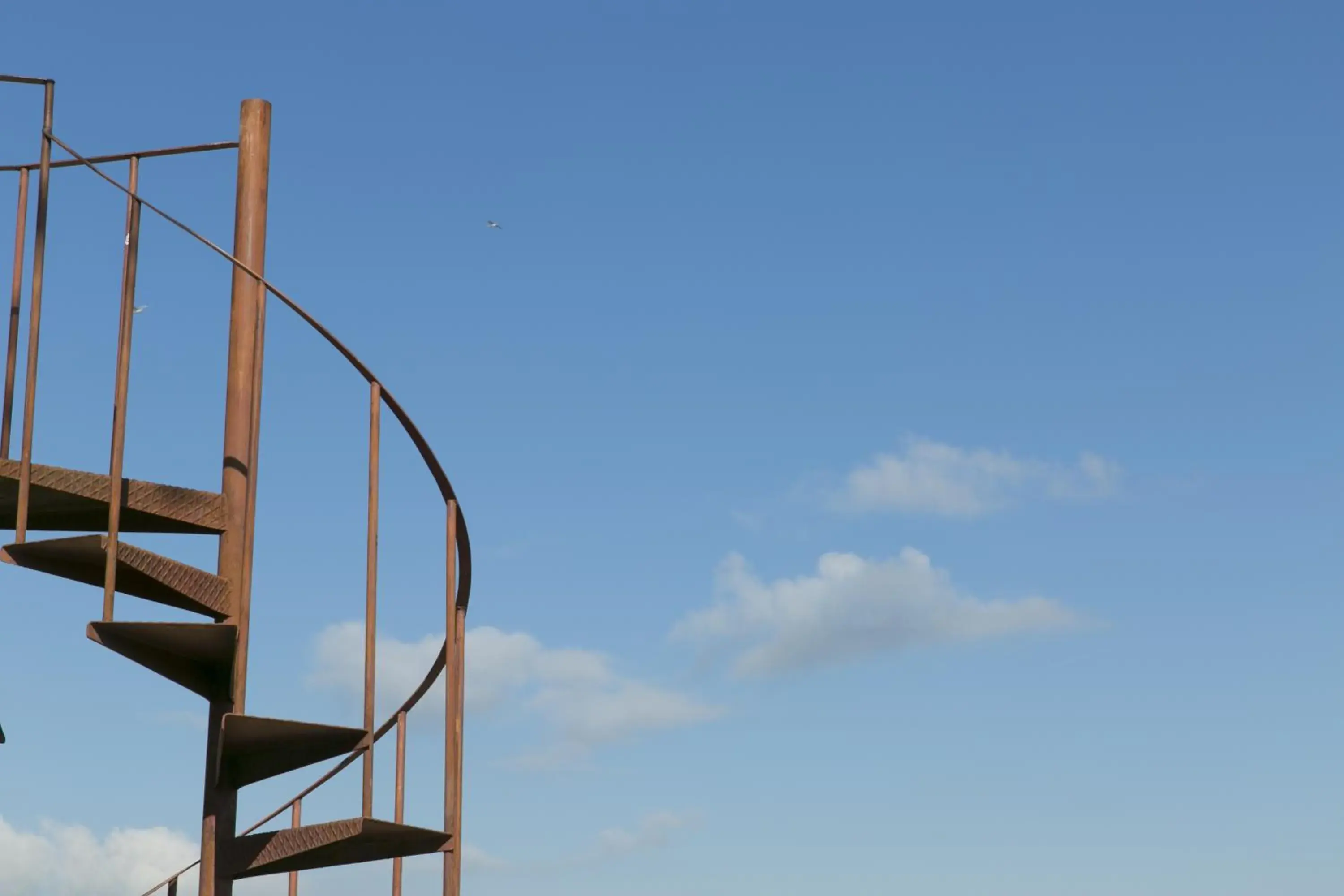 Facade/entrance in Hotel Casa Valdese Roma Facade/entrance in Hotel Casa Valdese Roma