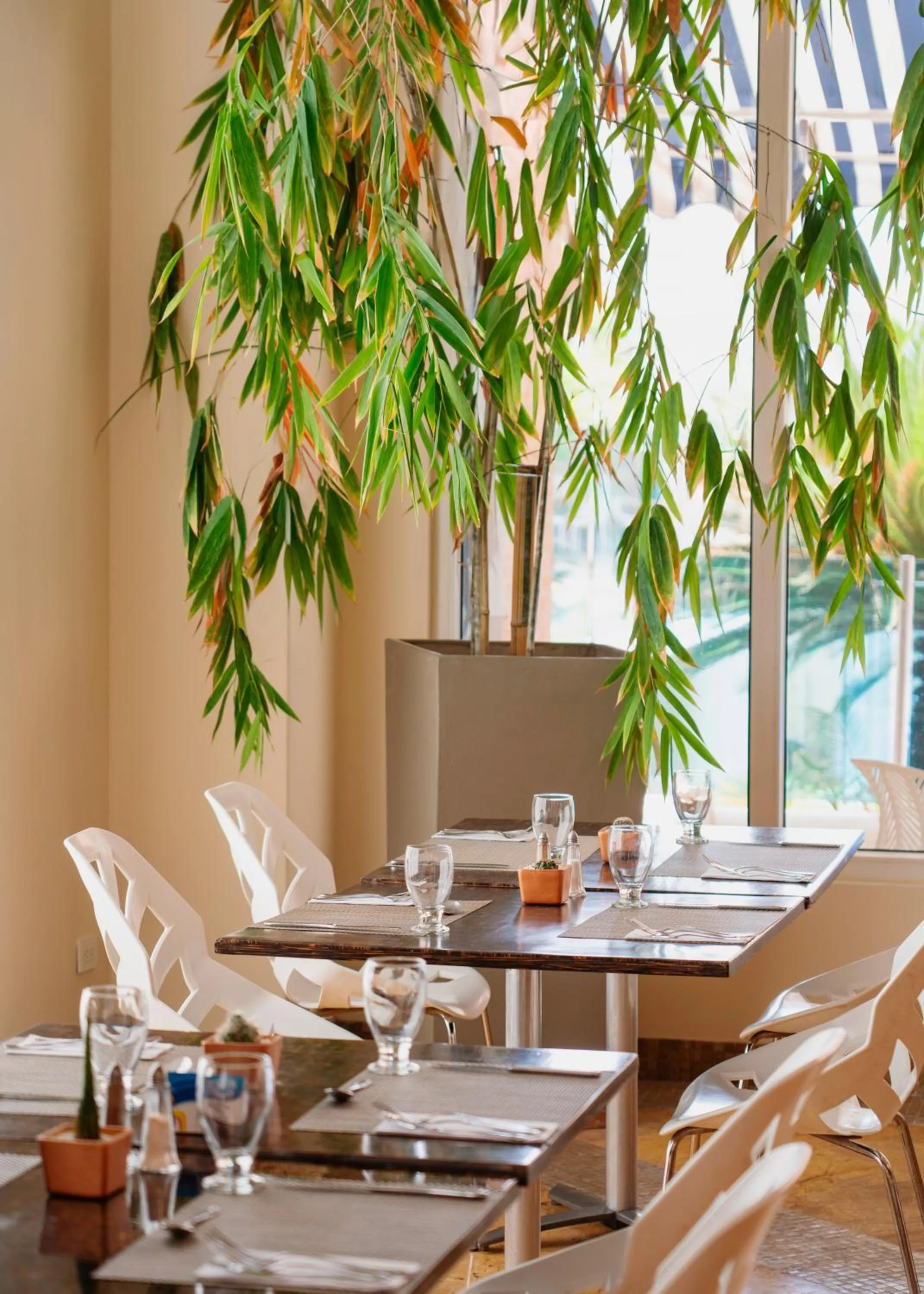 Restaurant/places to eat in Hotel Dann Carlton Barranquilla y Centro de Convenciones