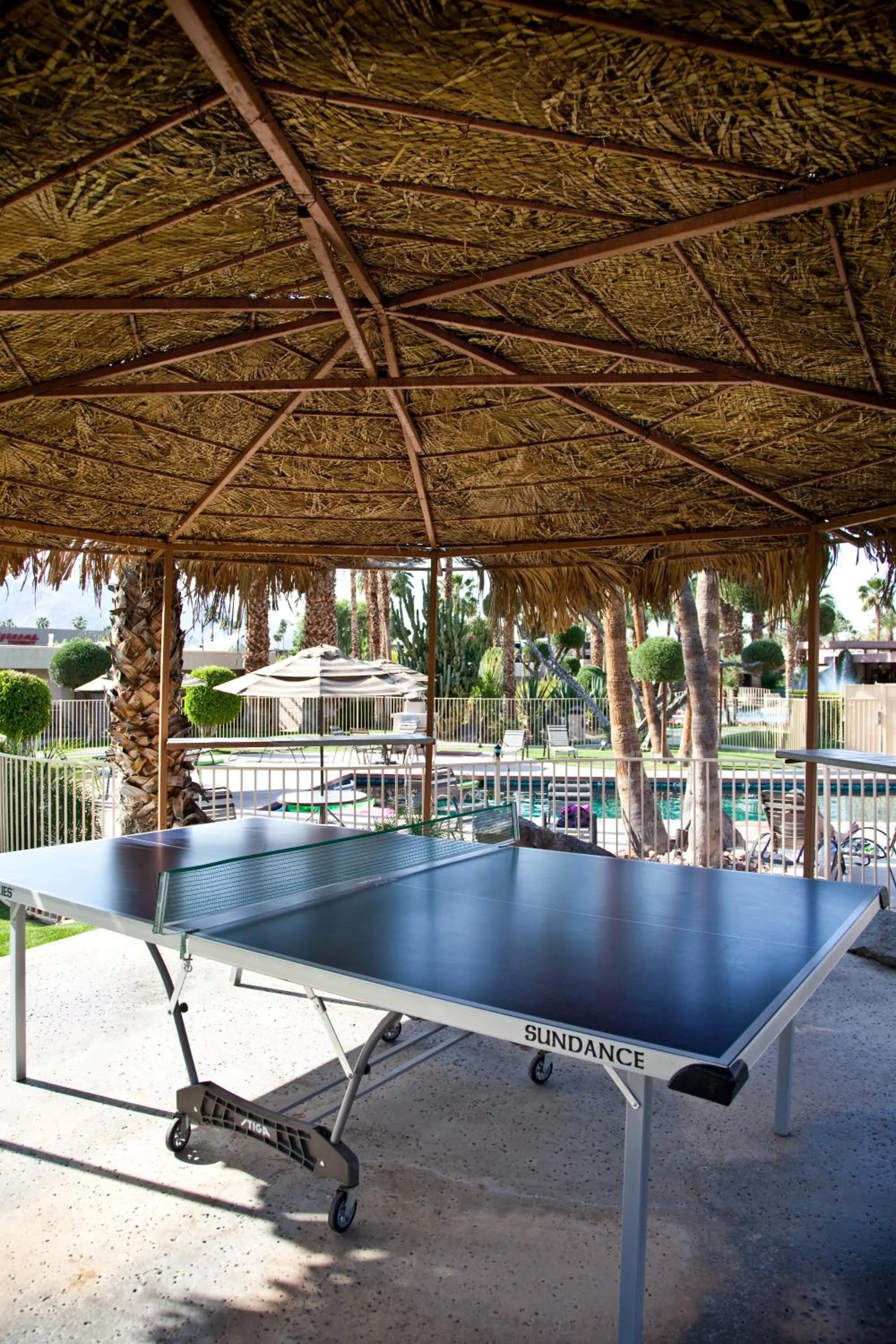 Table tennis in Desert Isle Resort
