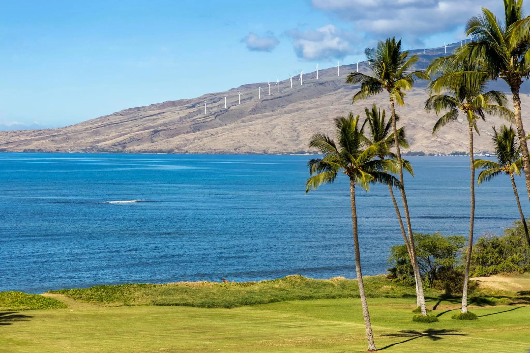 Beach in Maui Sunset