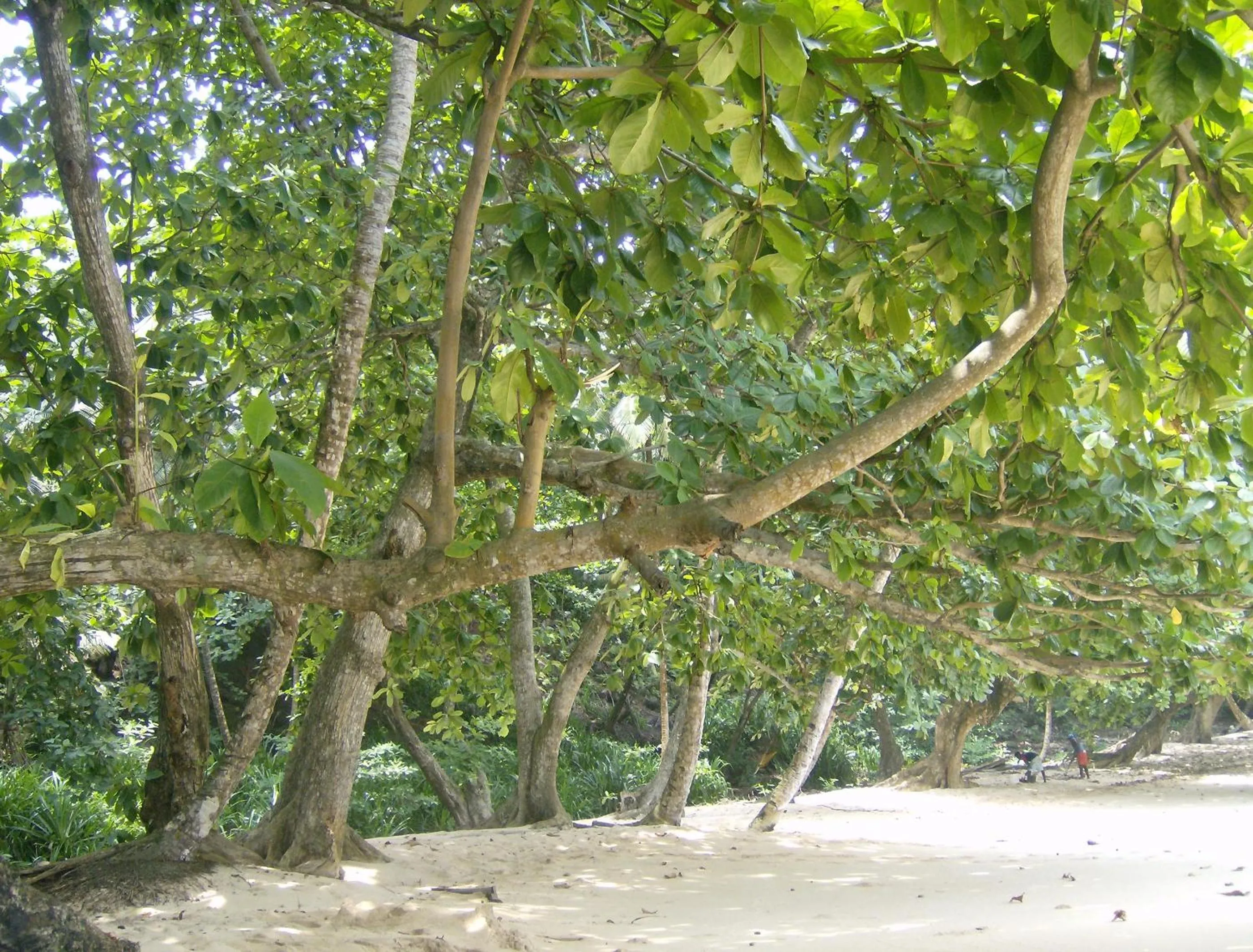 N`Guembú Nature Resort