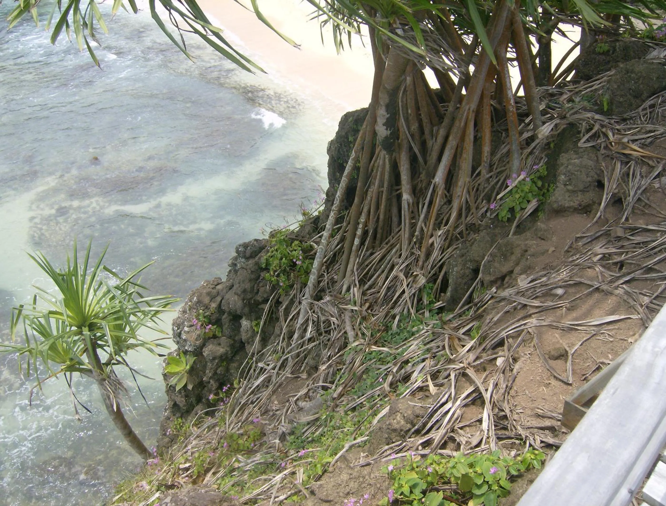 Property building in N`Guembú Nature Resort