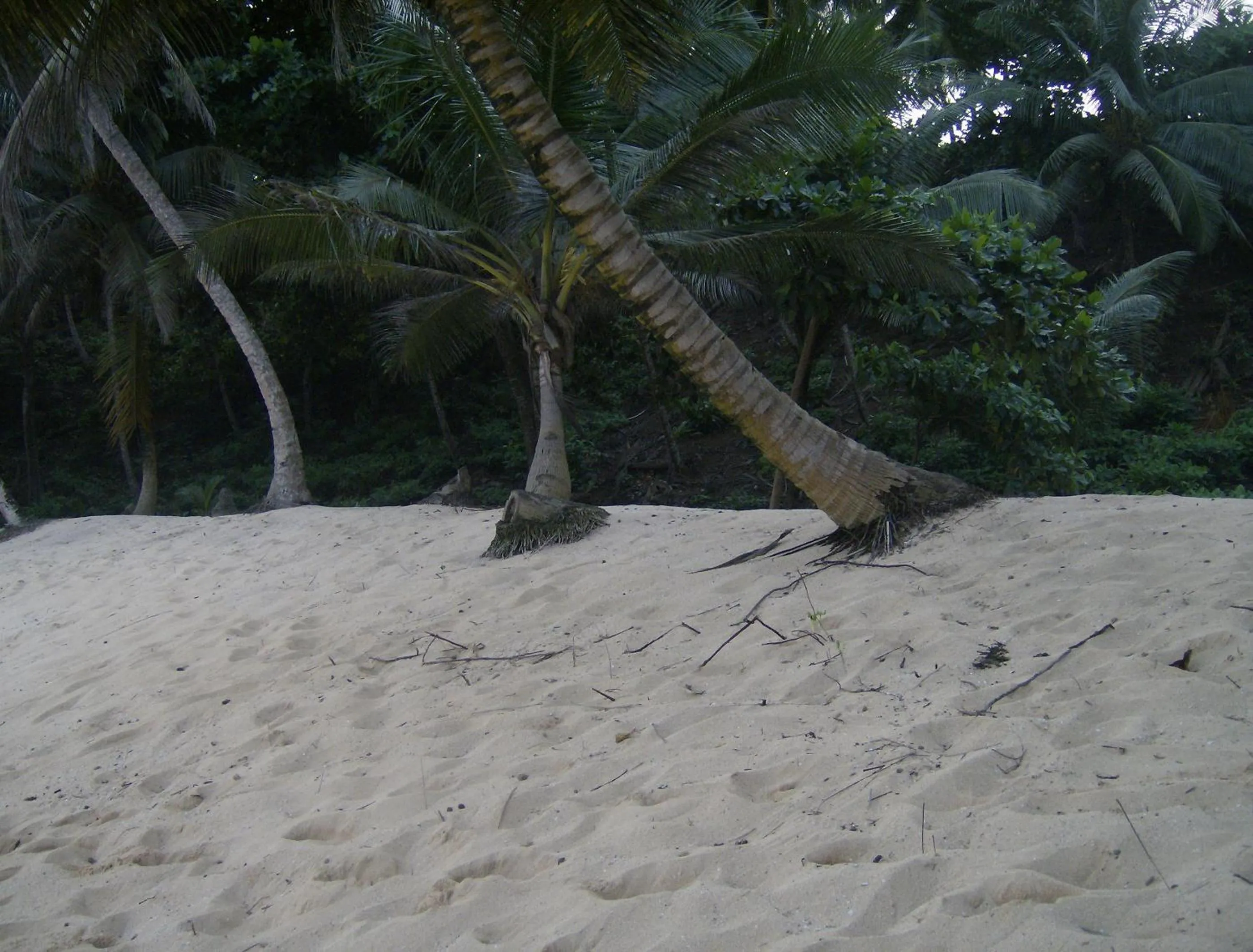 Property building in N`Guembú Nature Resort