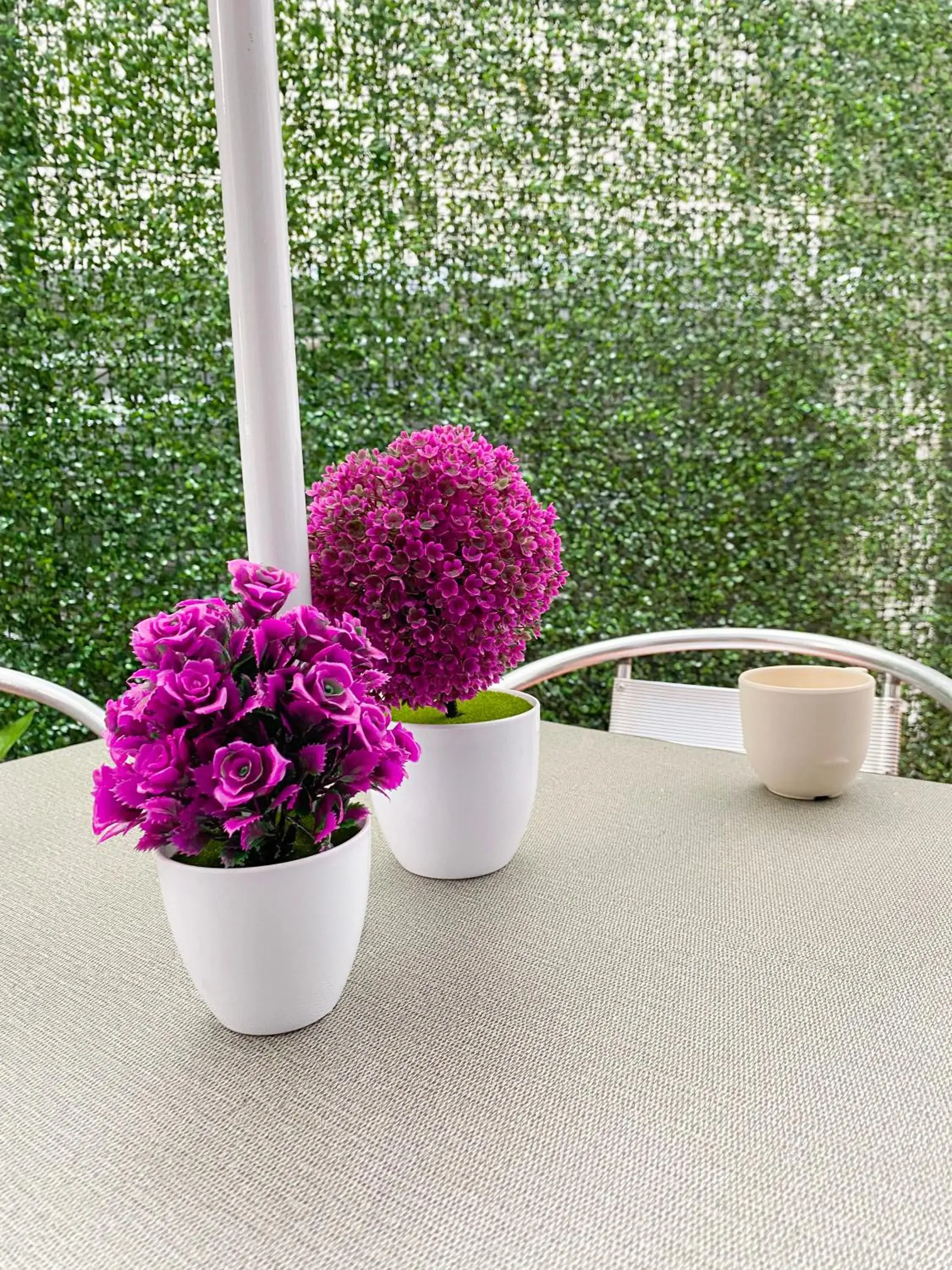 Standard Twin Room in Hotel Amigo Suites Standard Twin Room in Hotel Amigo Suites