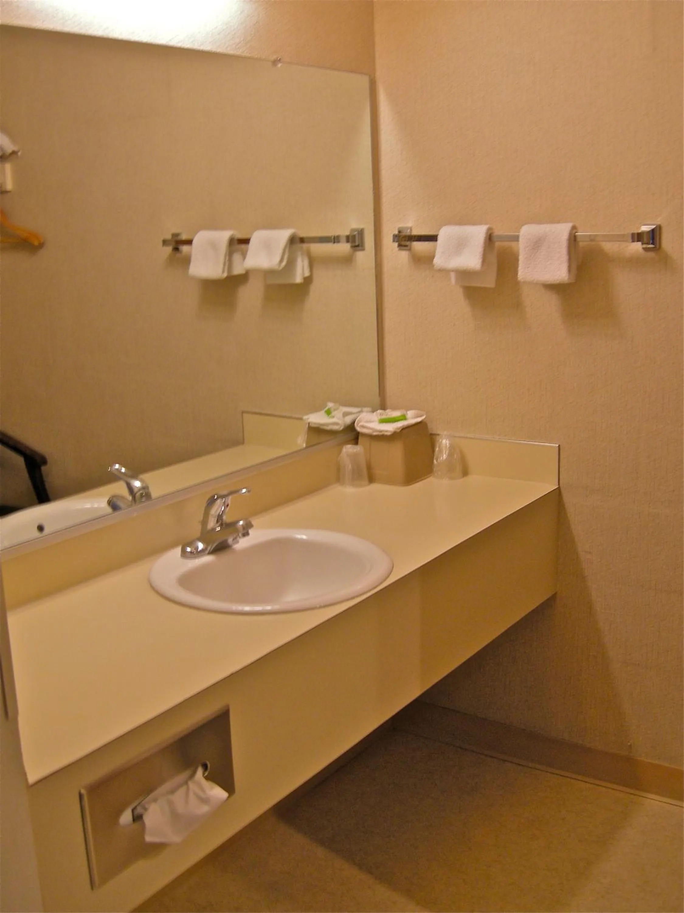 Bathroom in Royal Motor Inn