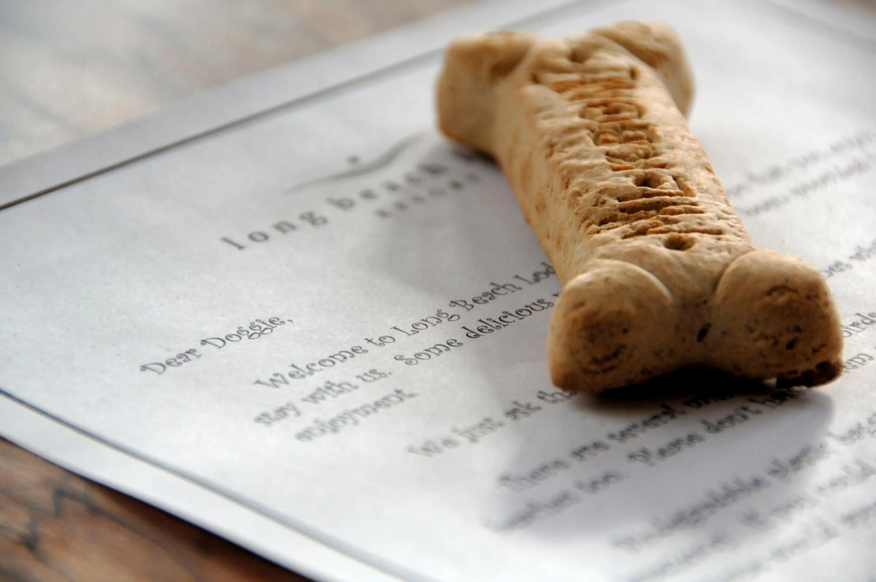 pet friendly in Long Beach Lodge Resort