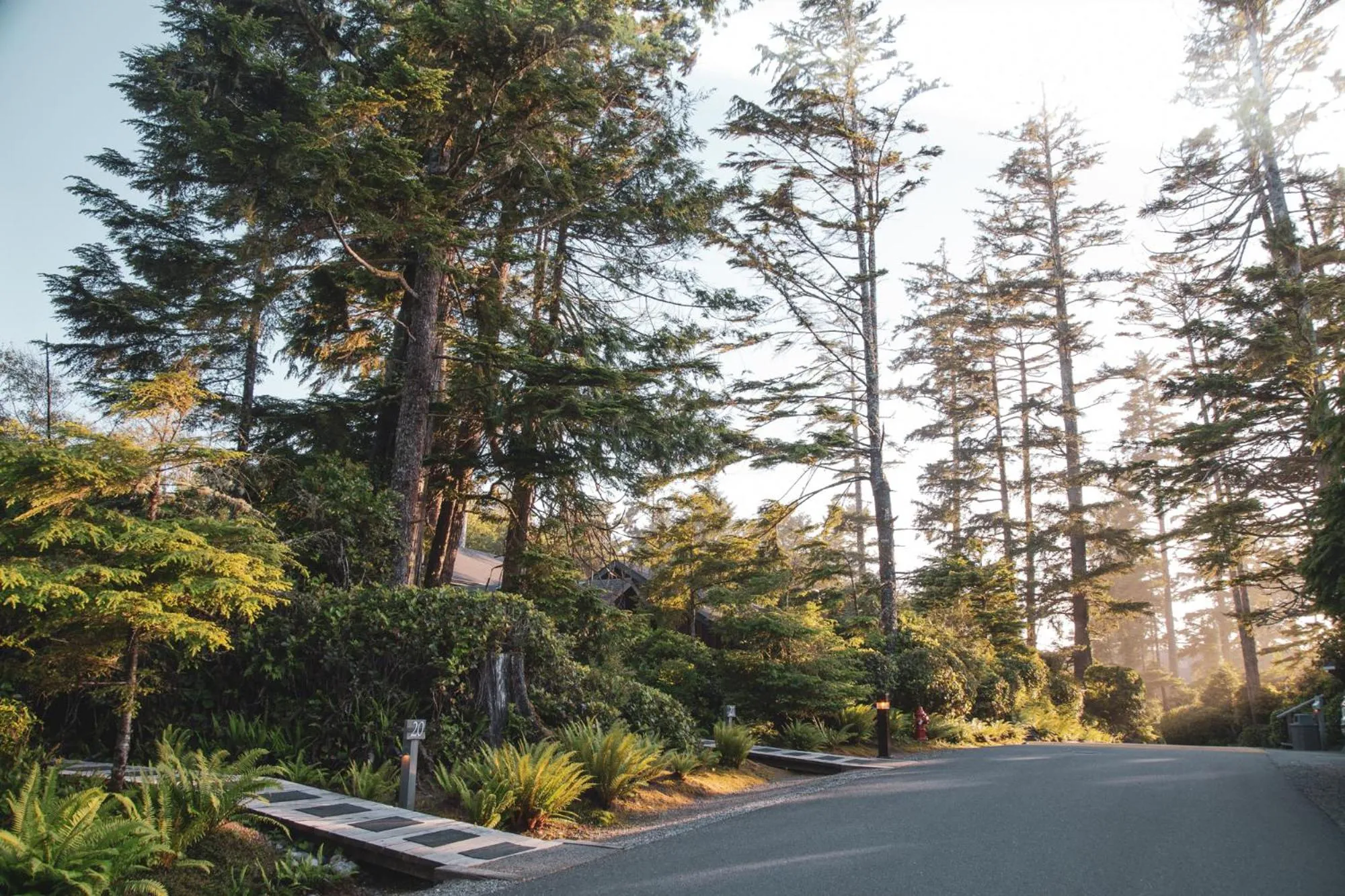 Natural landscape in Long Beach Lodge Resort