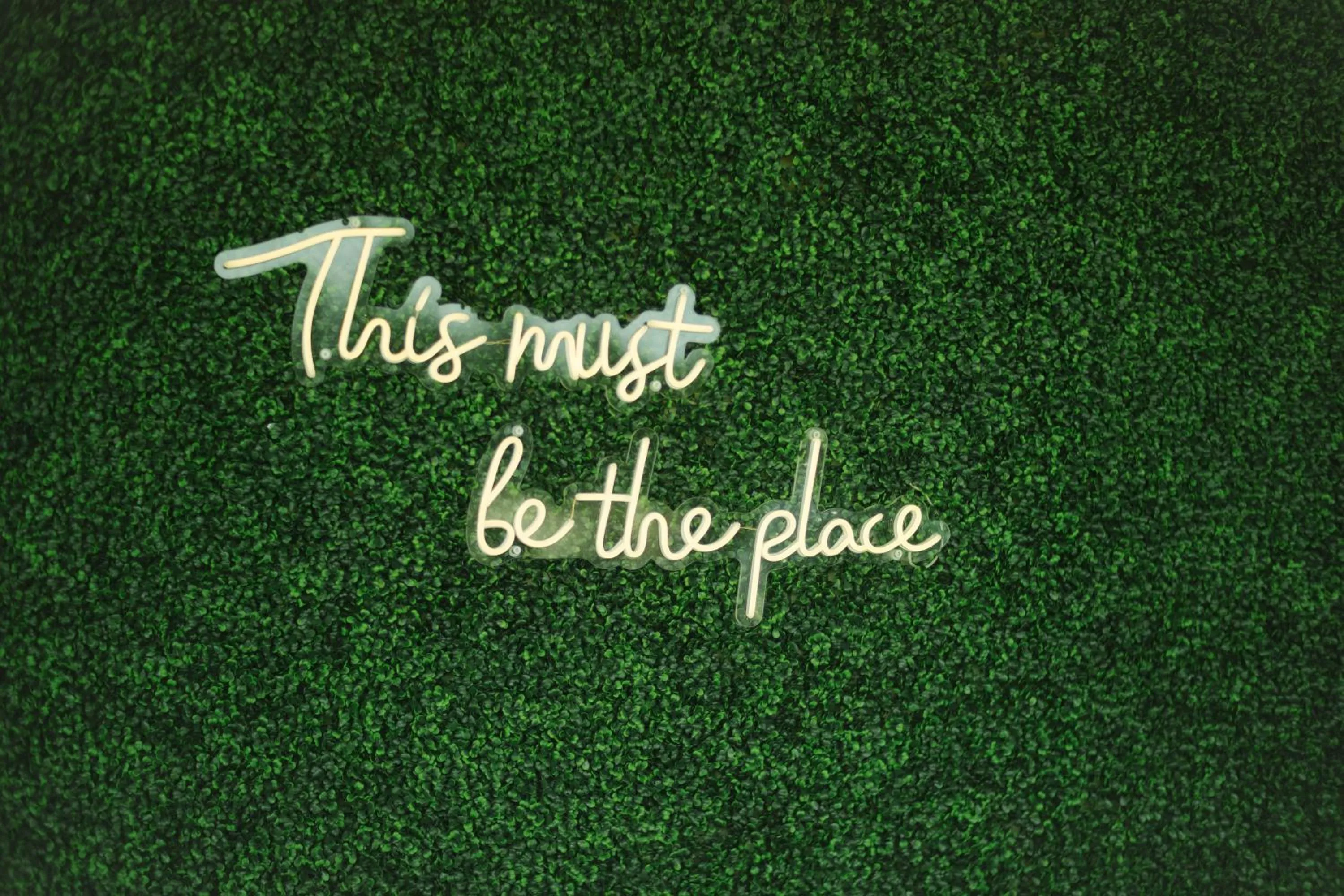 Property building in Hotel International