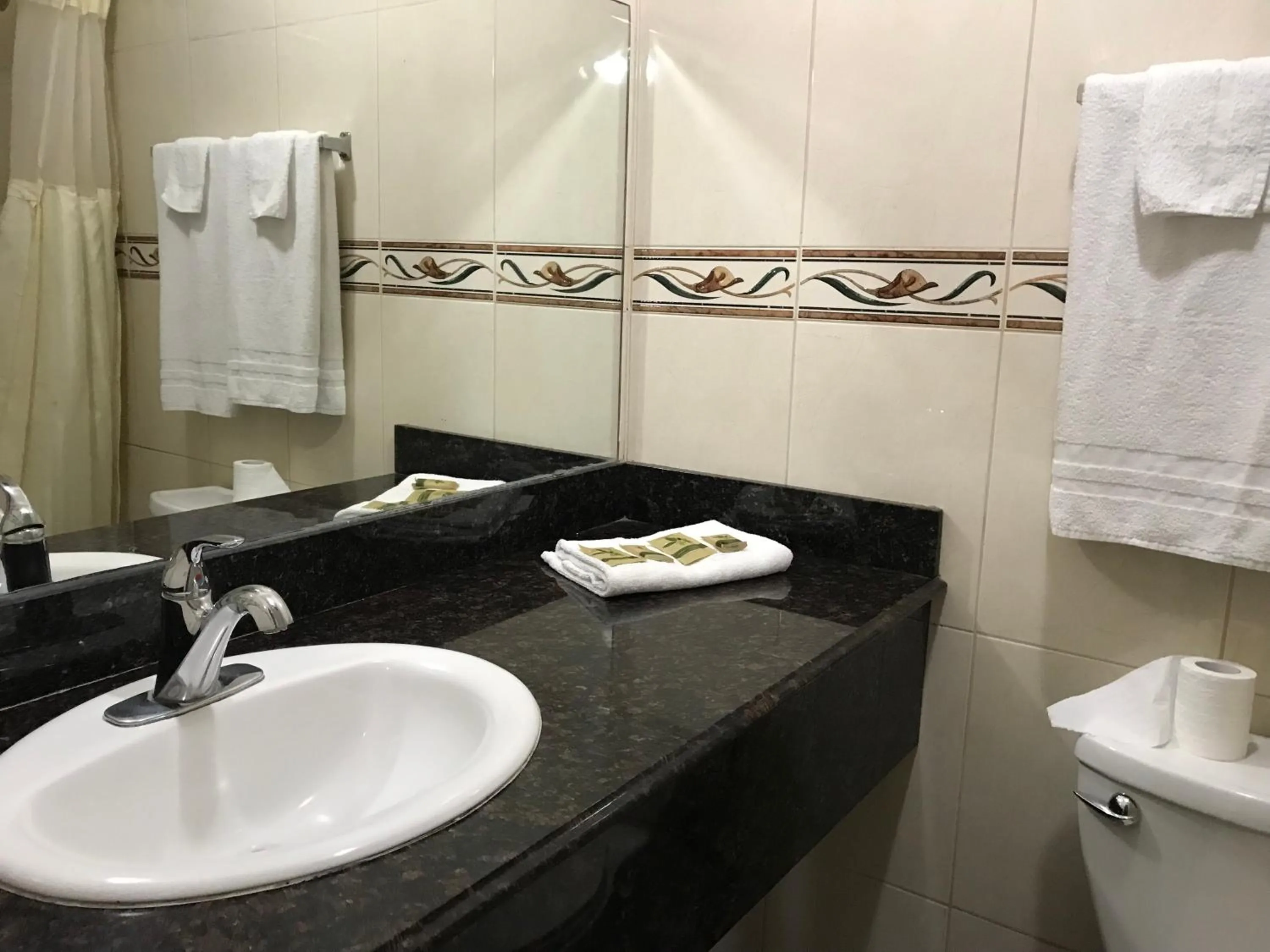 Bathroom in Flamingo Motel Oxnard