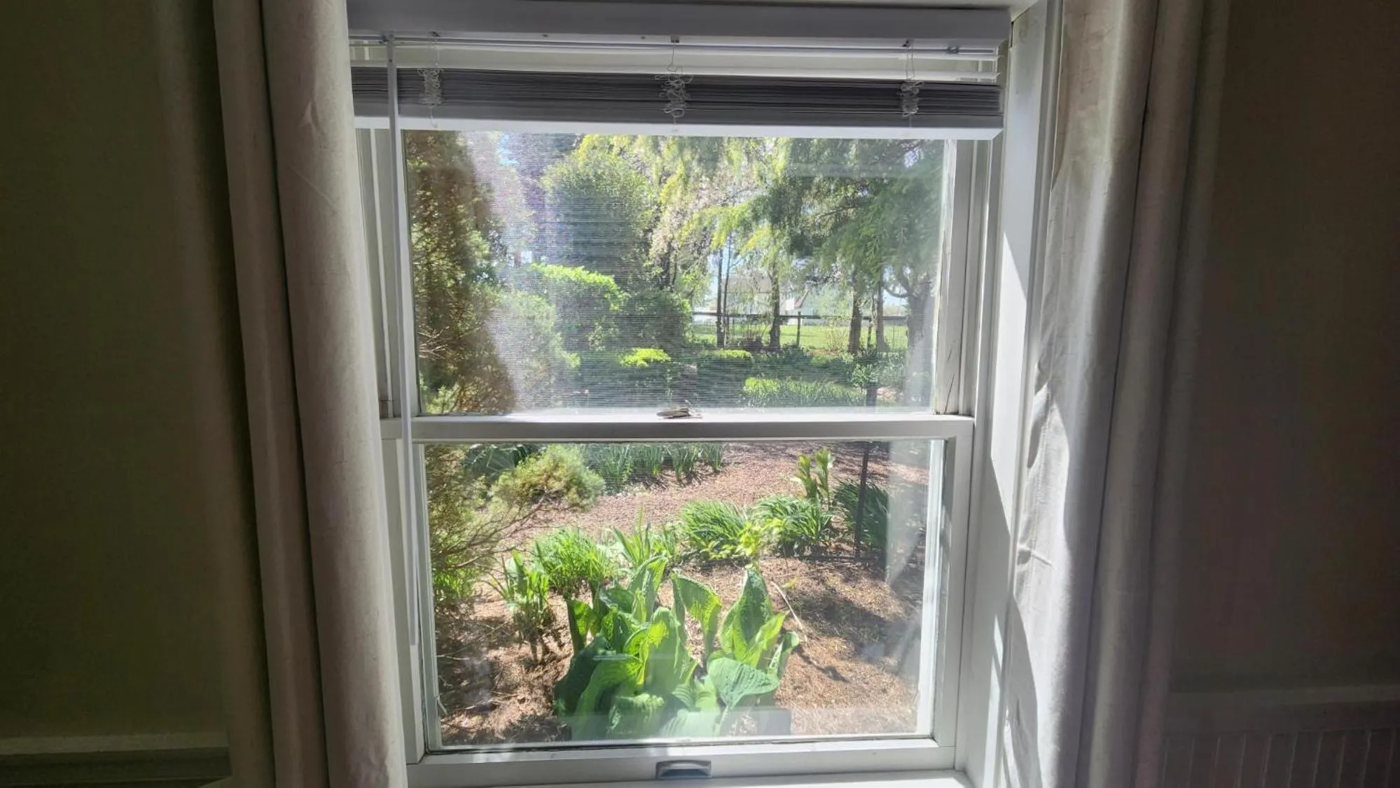 Garden view in Greystone Manor Bed & Breakfast