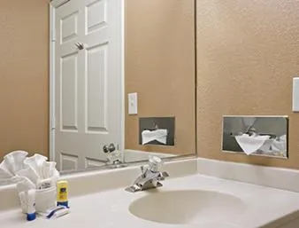 Bathroom in Microtel Inn & Suites By Wyndham Mineral Wells/Parkersburg