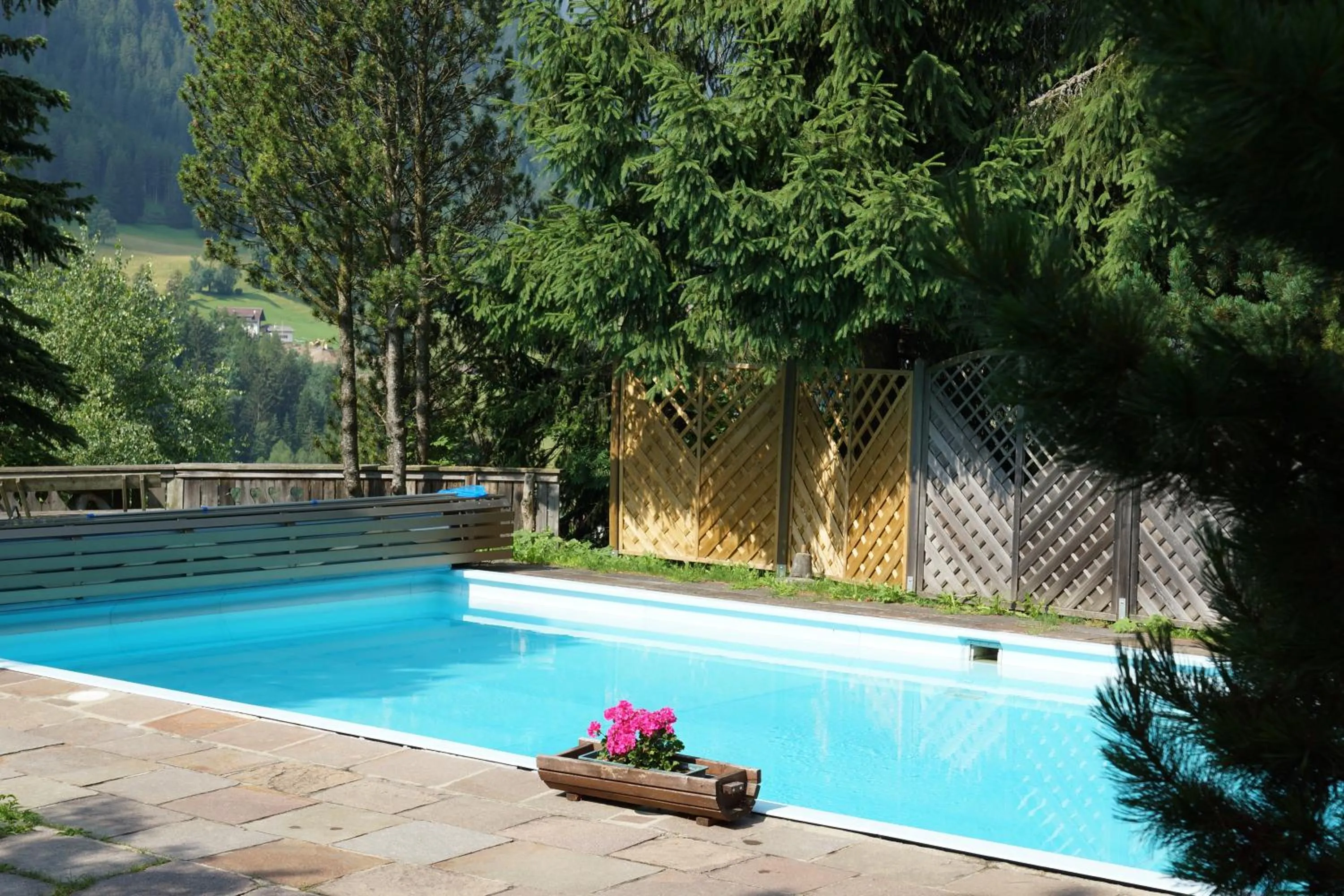 Swimming pool in Boutique Hotel Planlim