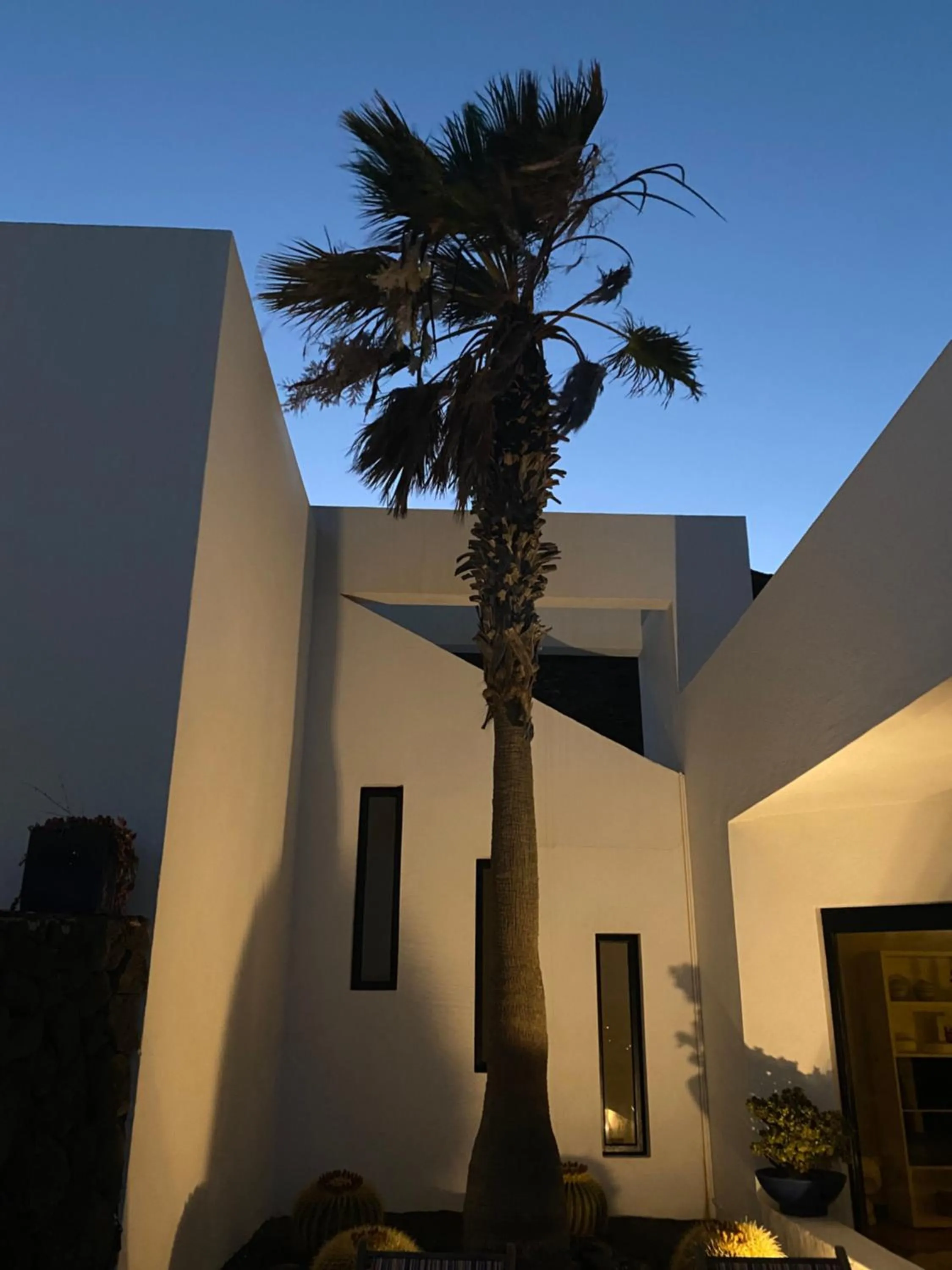 Villa V