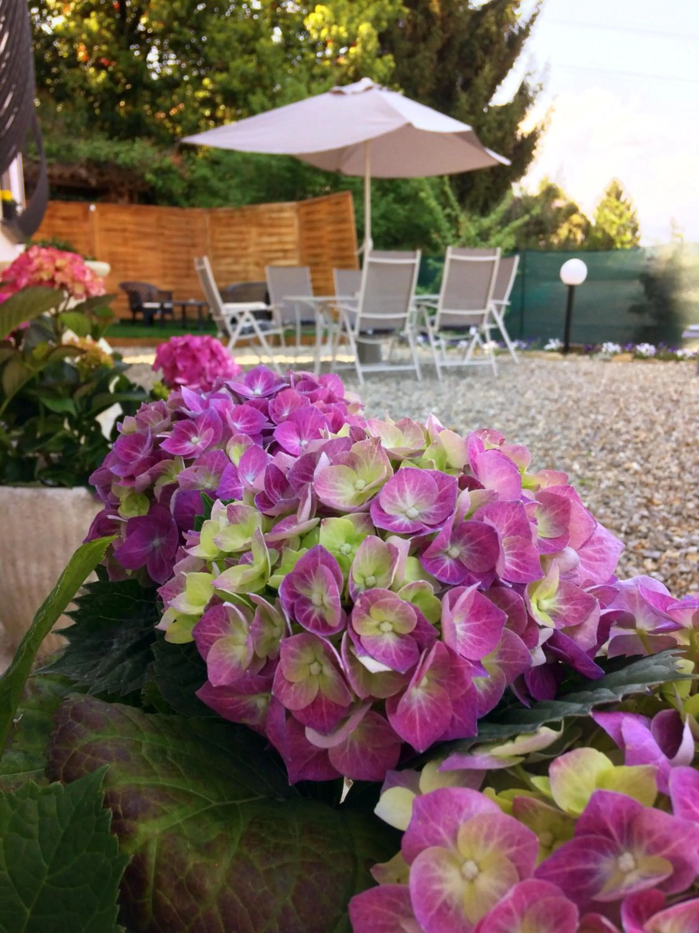 Property building in IL CILIEGIO Affittacamere