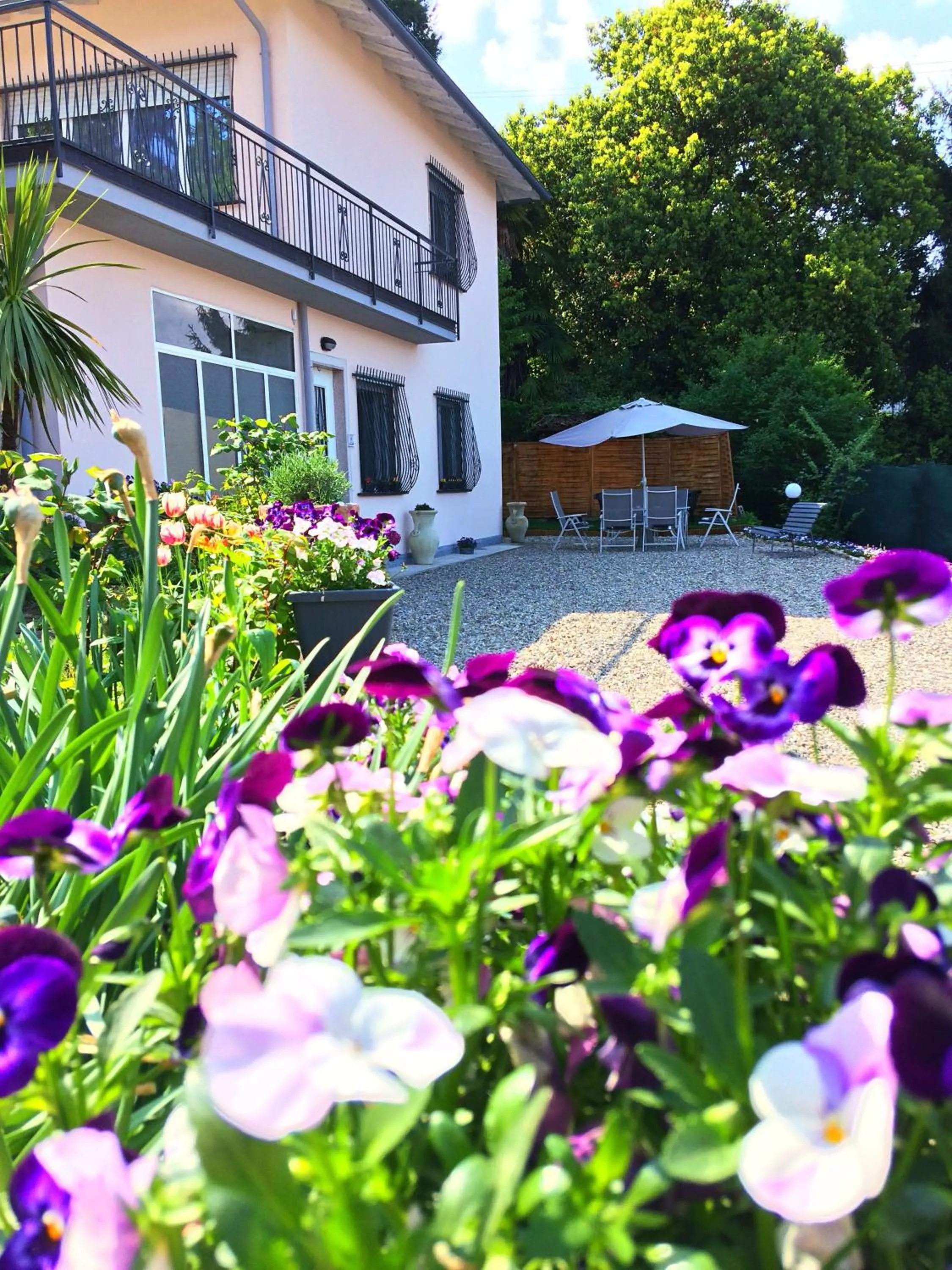 Property building in IL CILIEGIO Affittacamere