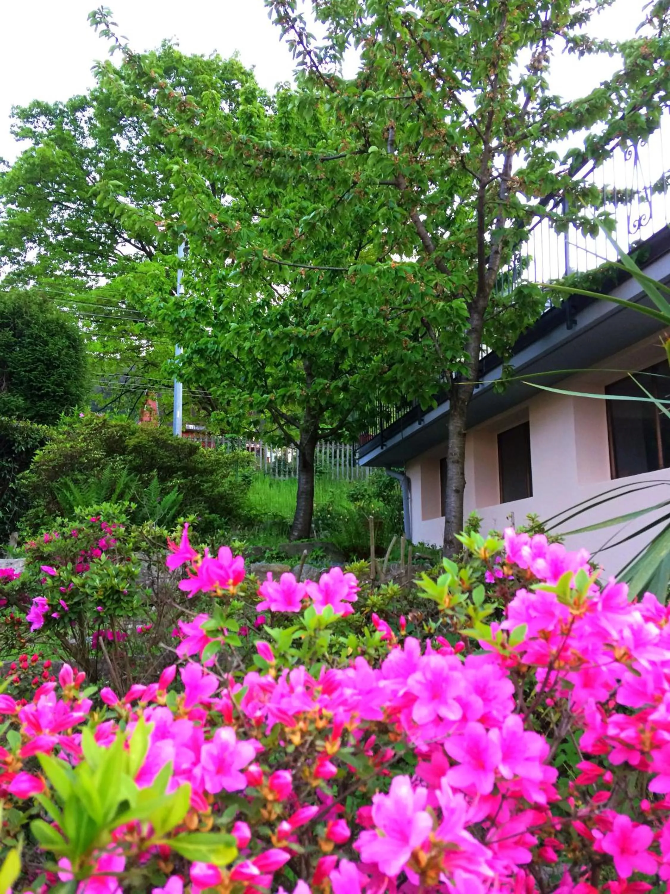 Property building in IL CILIEGIO Affittacamere