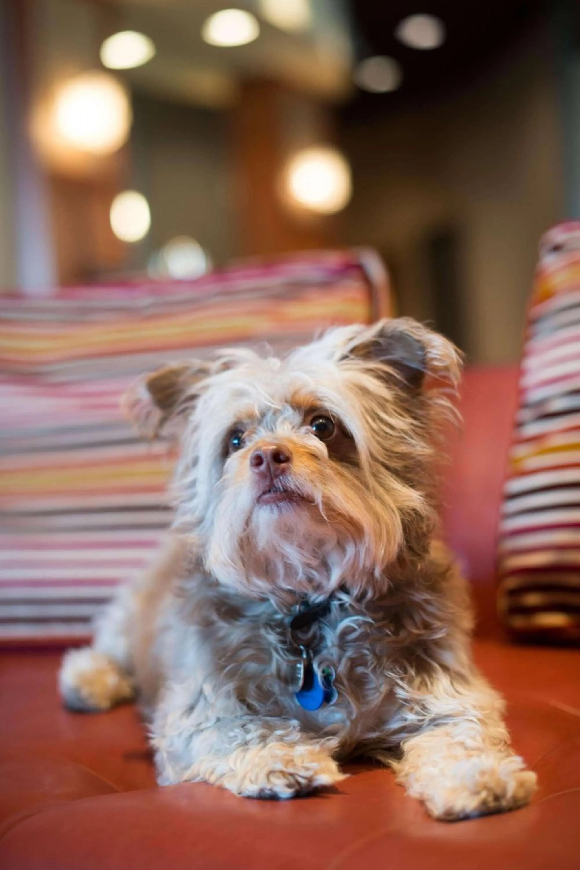 Other in Radisson Hotel Duluth-Harborview